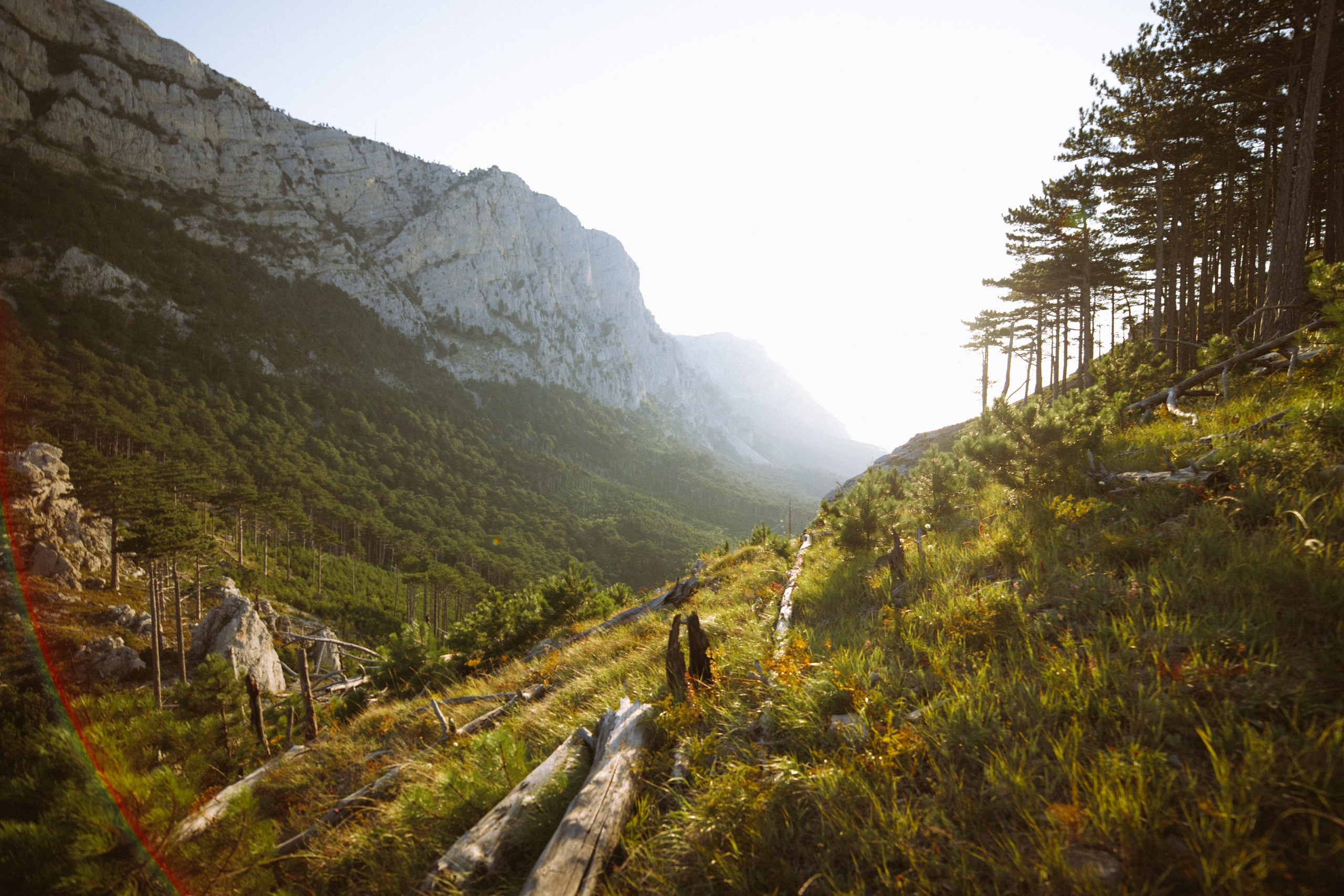 Nature. Артем Корнев Фотограф