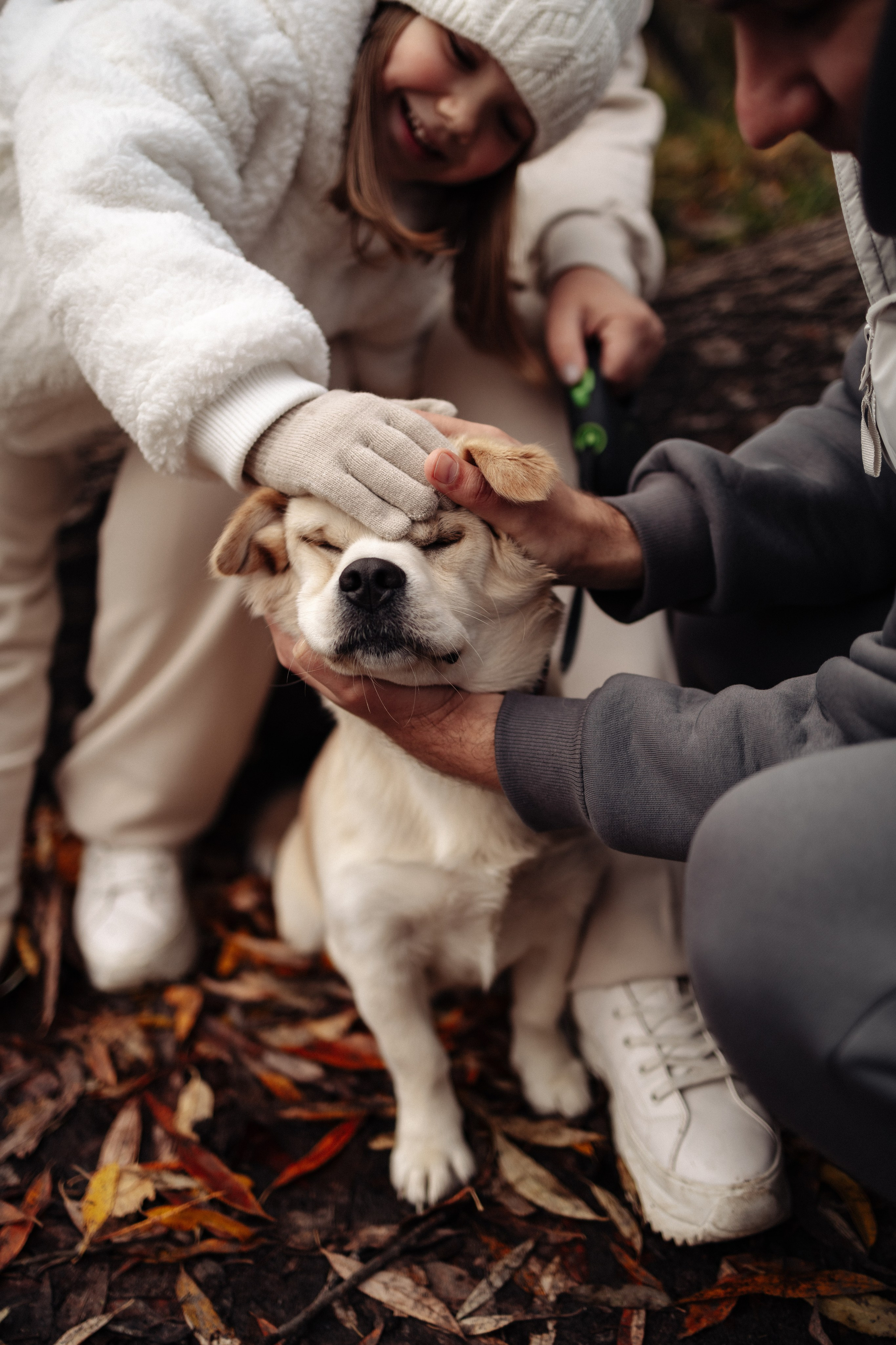 Осенняя прогулка в парке. Женя, Таня, Лера и Сэм. Семейный и детский фотограф в Москве Маргарита Сереброва