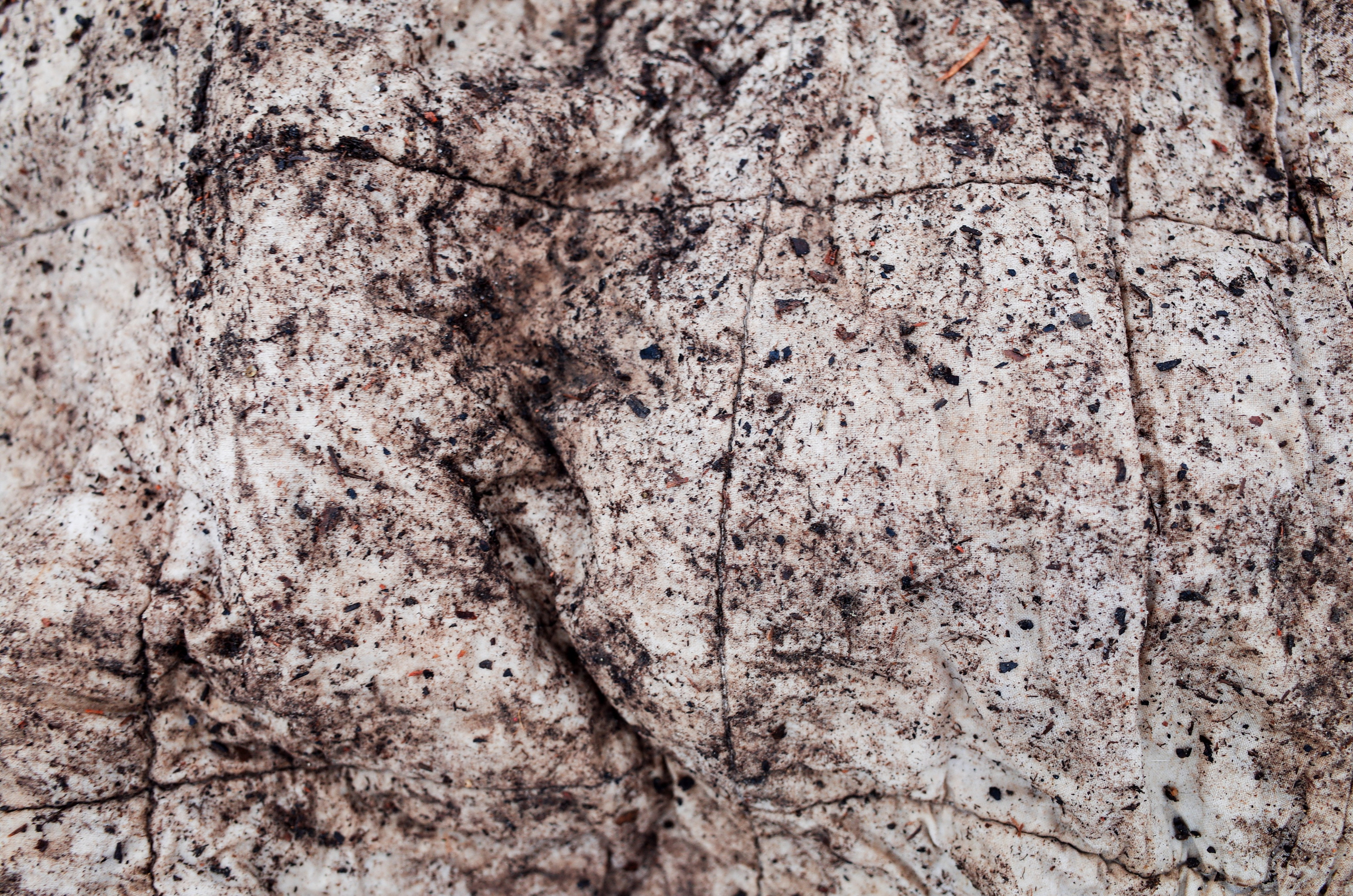 Farmers. Aleksander Chernov — Documentary filmmaker and photographer