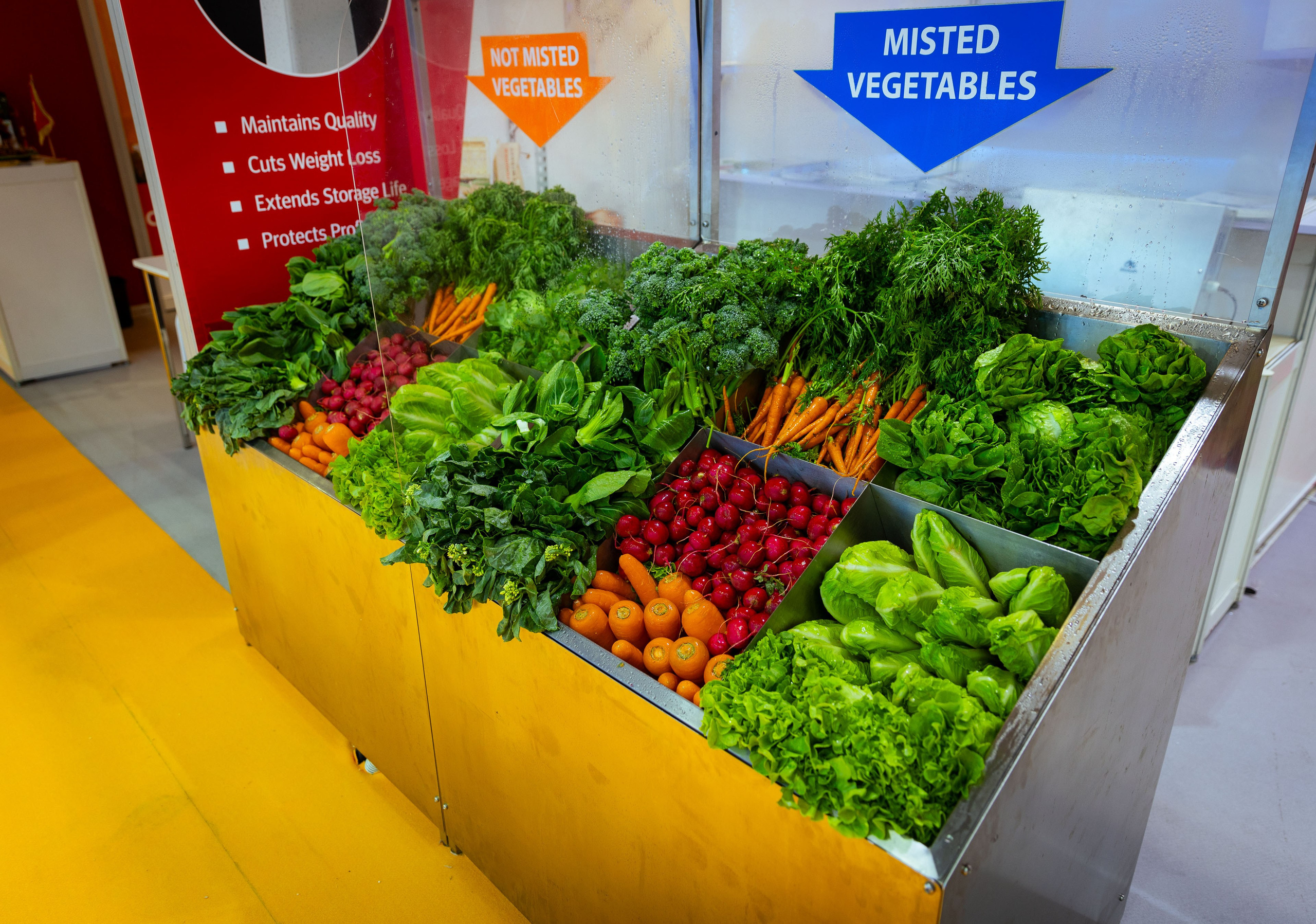 Asia Fruit Logistica [Гонконг 4–6 сентября 2024 г.]. Фотограф Виноградов Константин