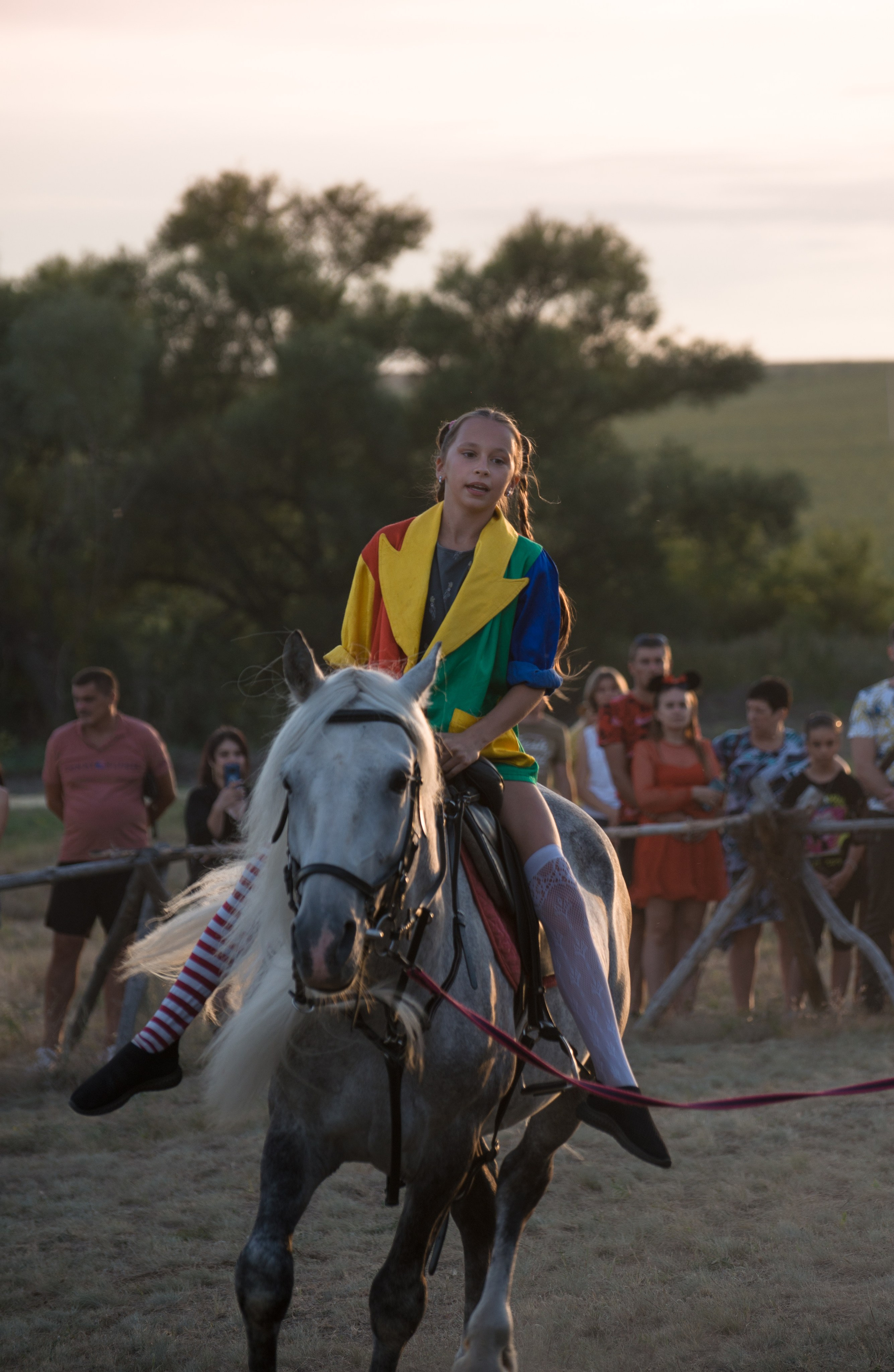 Карнавал Догвинтер. Конный фотограф в Саратове Юлия Иванова