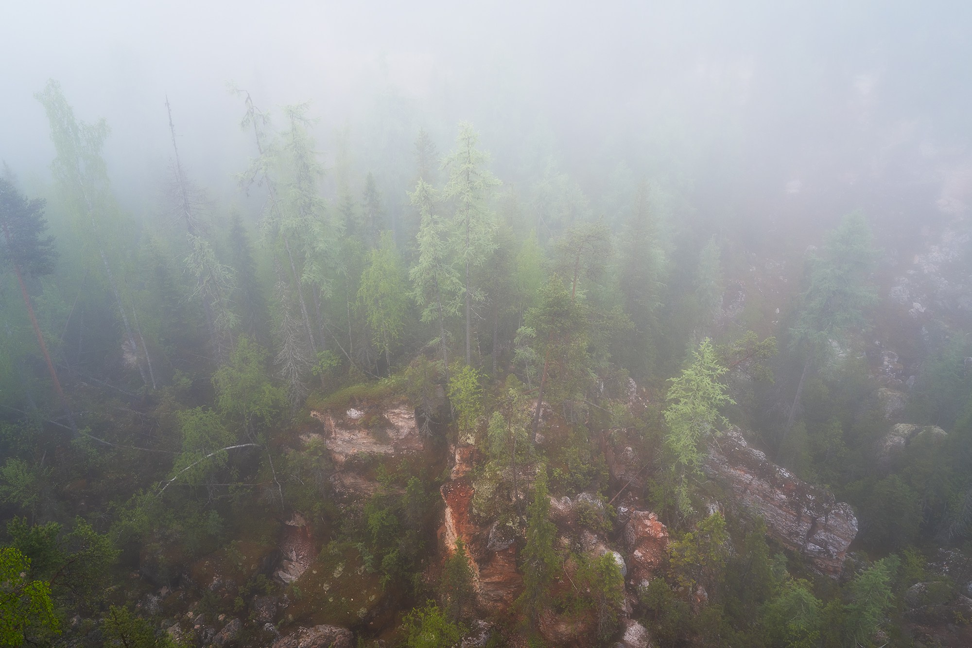 Пейзаж. Аэросъемка в Архангельске, Александр Ермолин