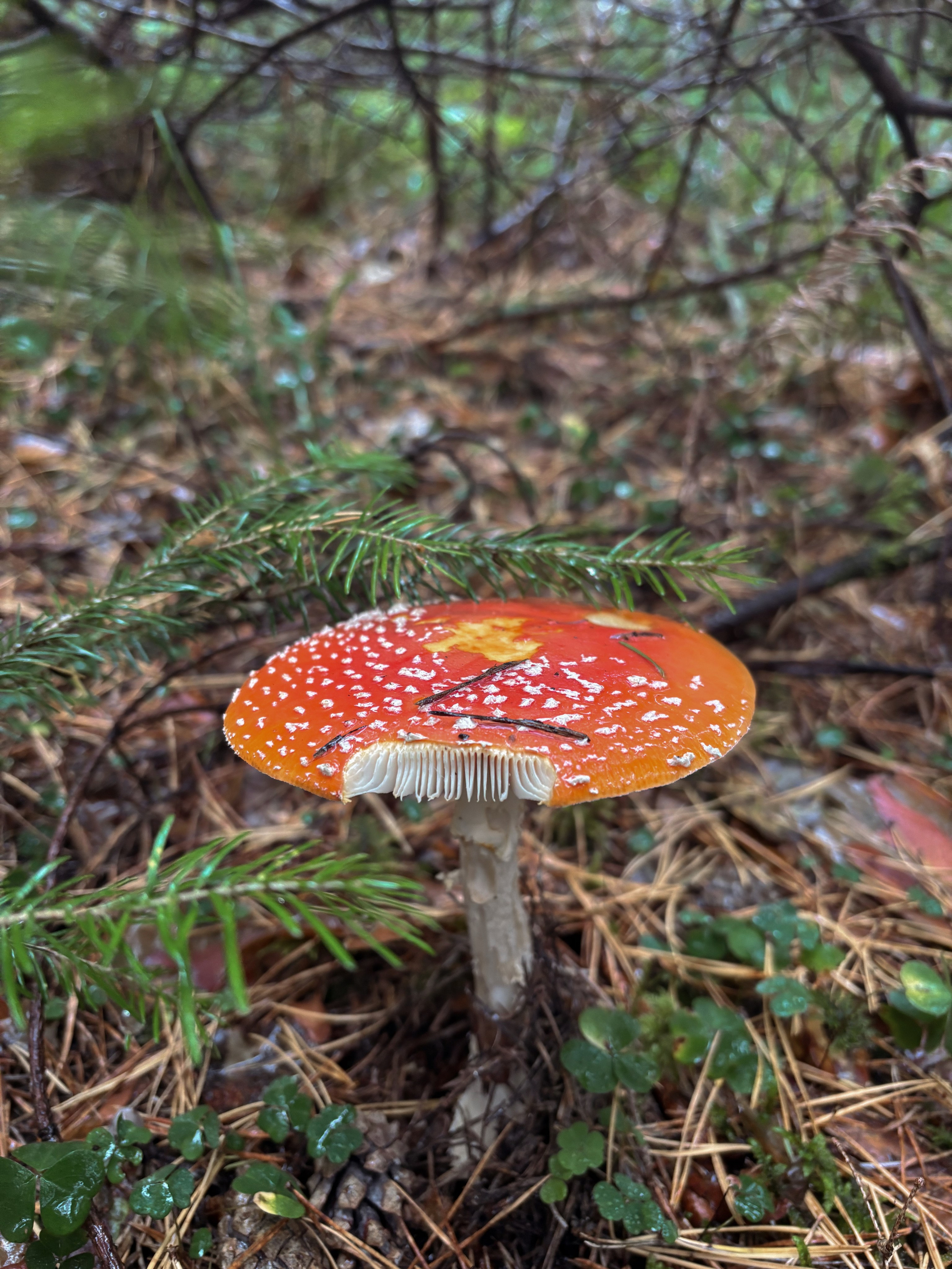 Фото с походов на Айгир — Время приключений