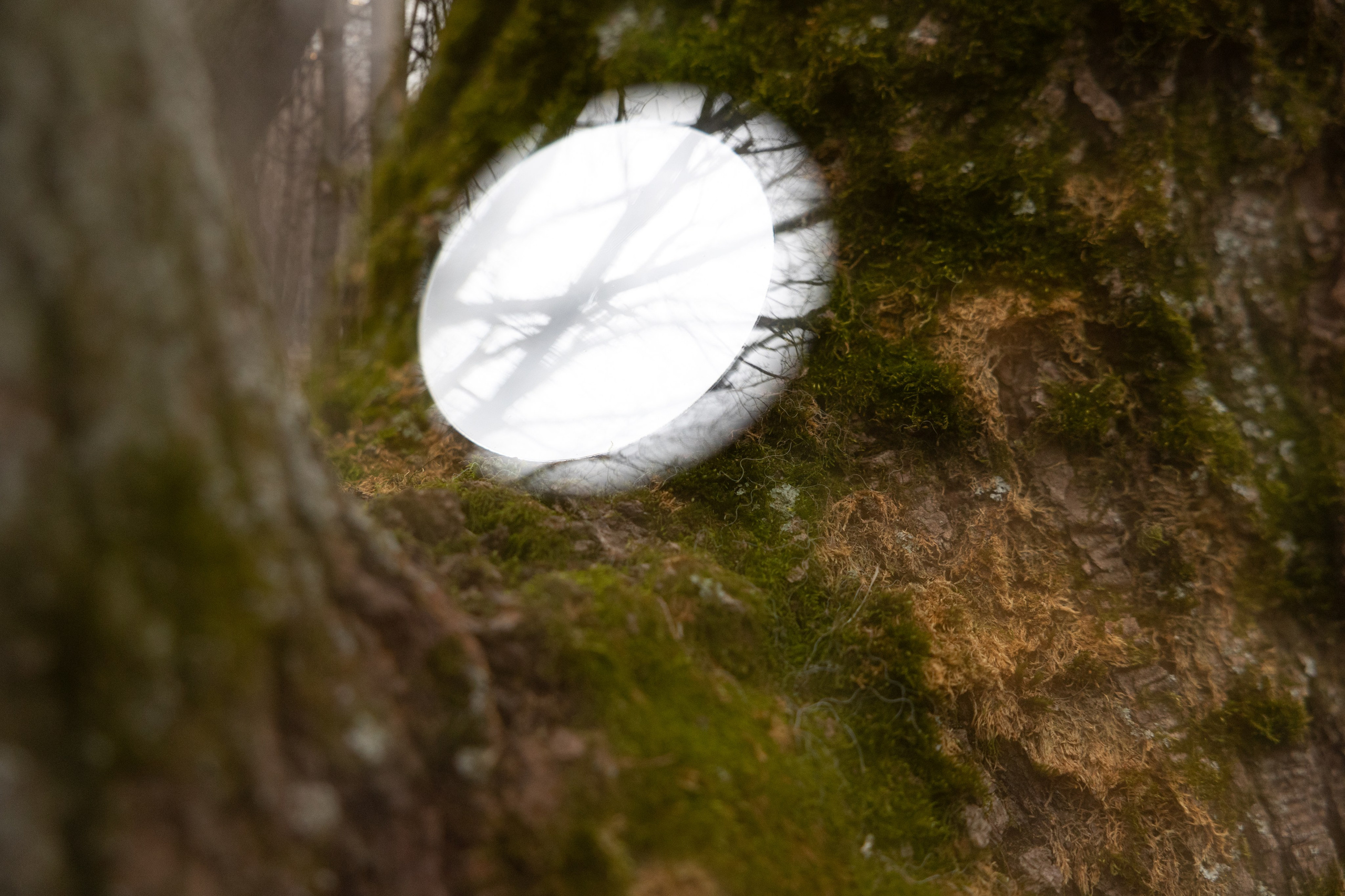 Точка сборки | The assembly point. Фотограф алина стерхова, алина стерхова фотограф, фотограф москва