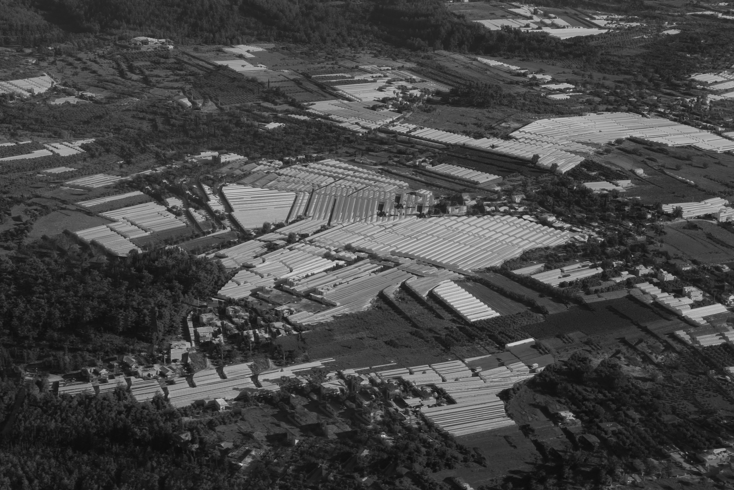 Art prints. Фотограф алина стерхова, алина стерхова фотограф, фотограф москва