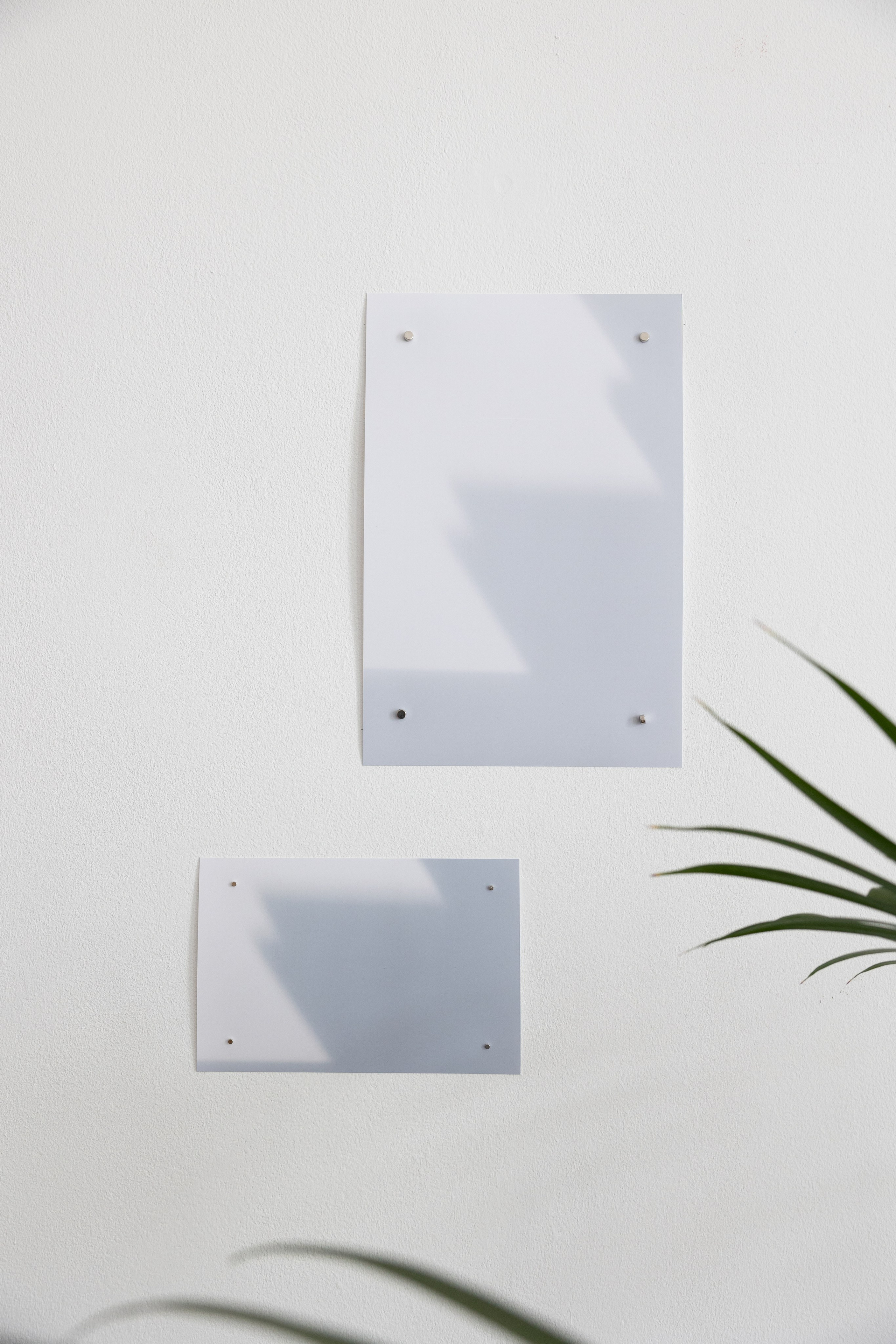 Personal exhibition Interior landscape 2025. Фотограф алина стерхова, алина стерхова фотограф, фотограф москва