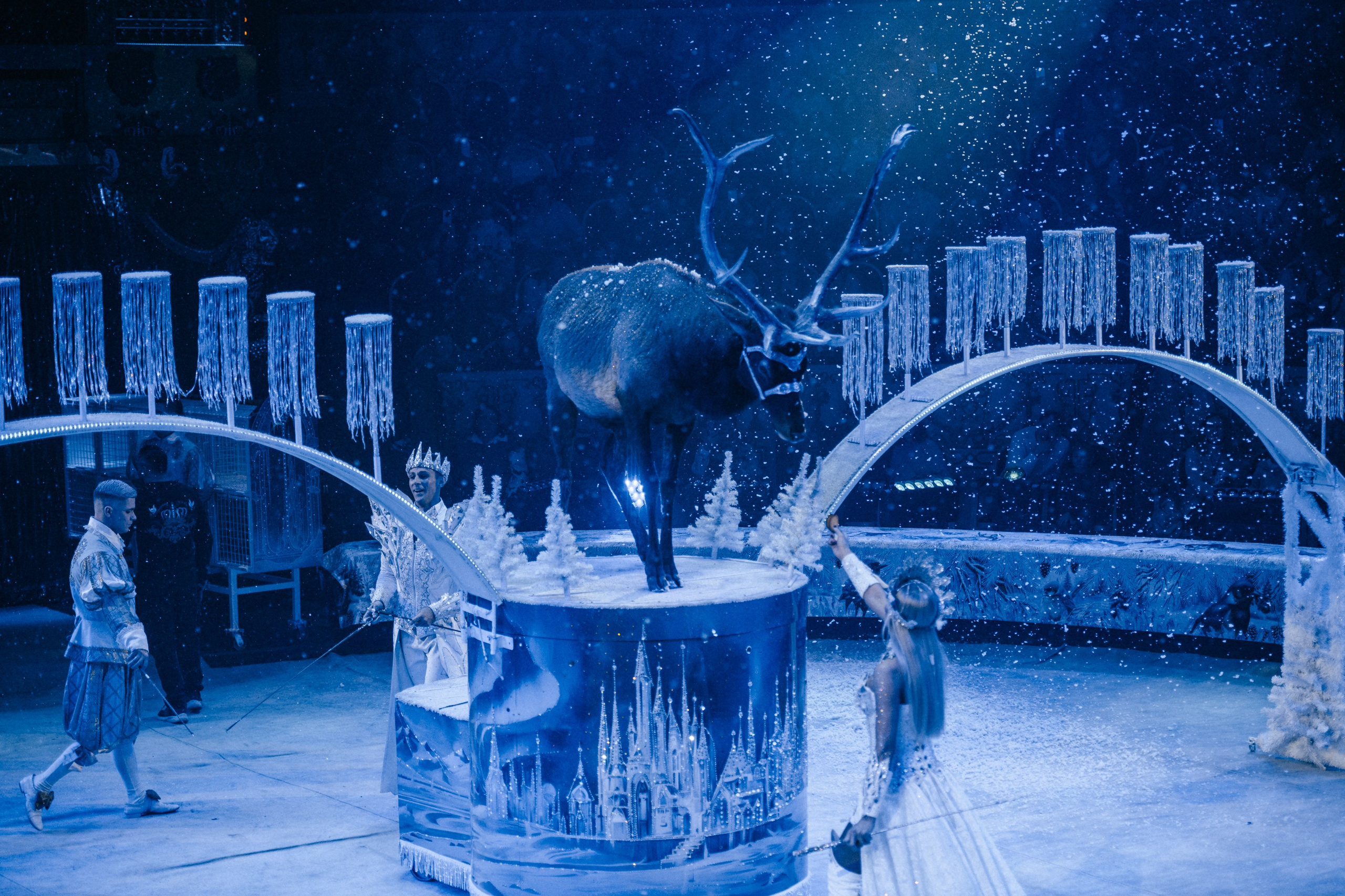 Королевский Цирк Гии Эрадзе. Репортажный и портретный фотограф в Санкт-Петербурге Степлевич Дарья