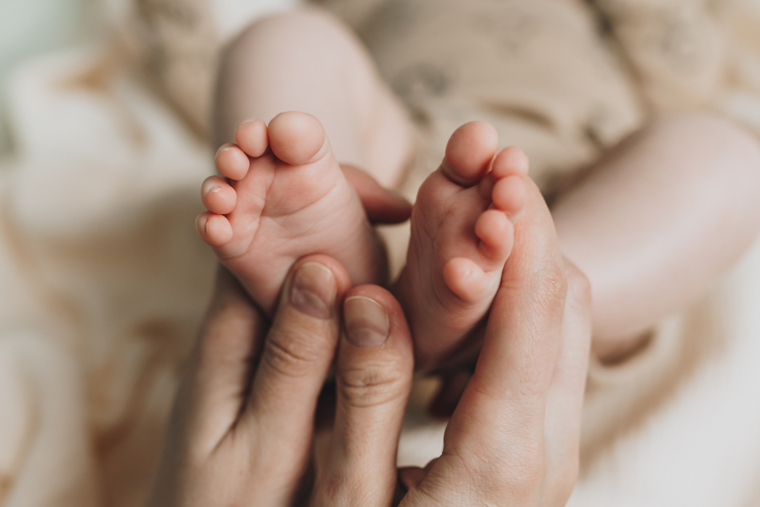 Sveta Dima Kira & Artem. Natalia Finch Photography — Family, Kids & Pet Photographer in Chicago, IL