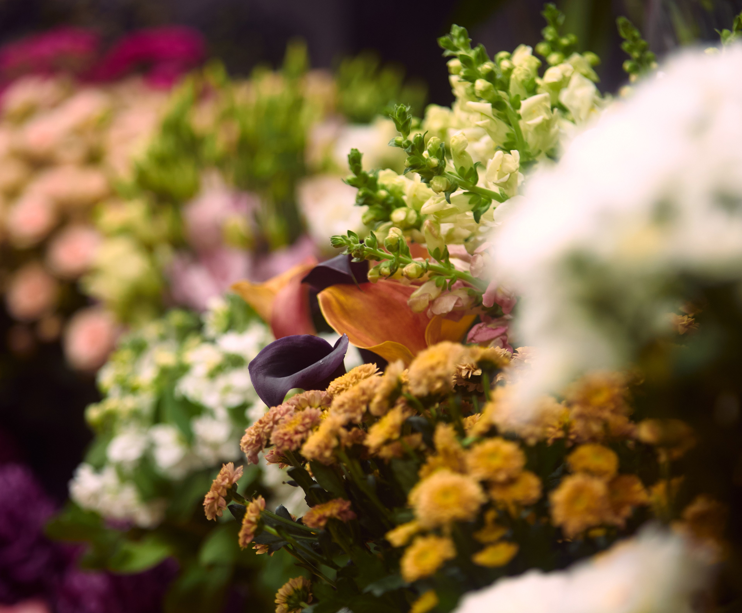 ART-HAOS. Фотограф видеограф в Москве и Московской области Саша Секрет