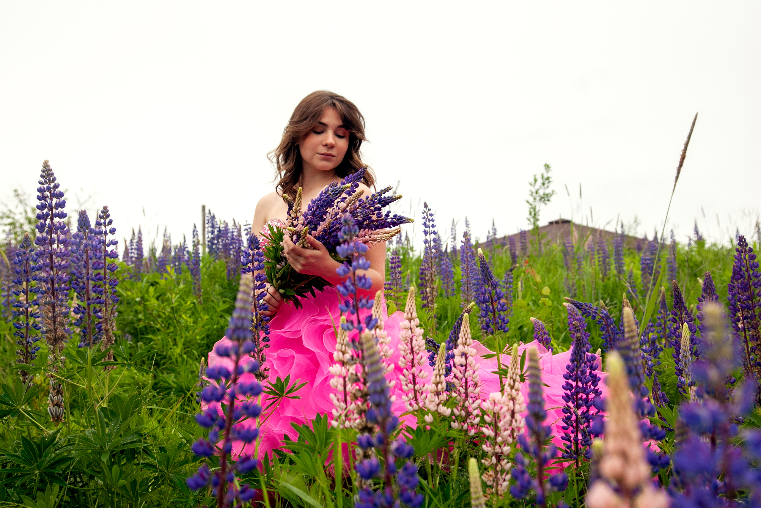 Люпины. Фотограф Татьяна Воронова, Детские и Семейные фото