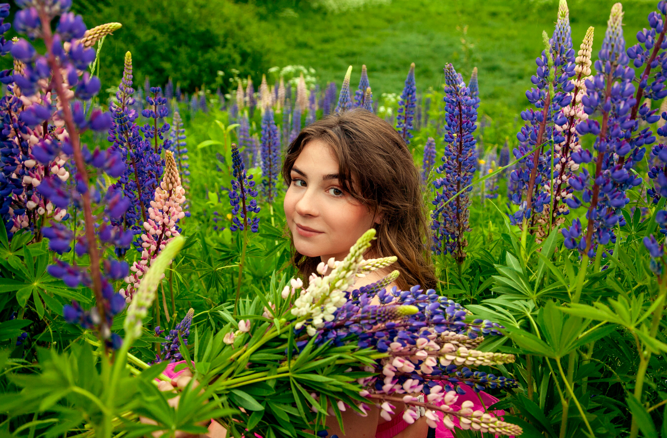 Люпины. Фотограф Татьяна Воронова, Детские и Семейные фото