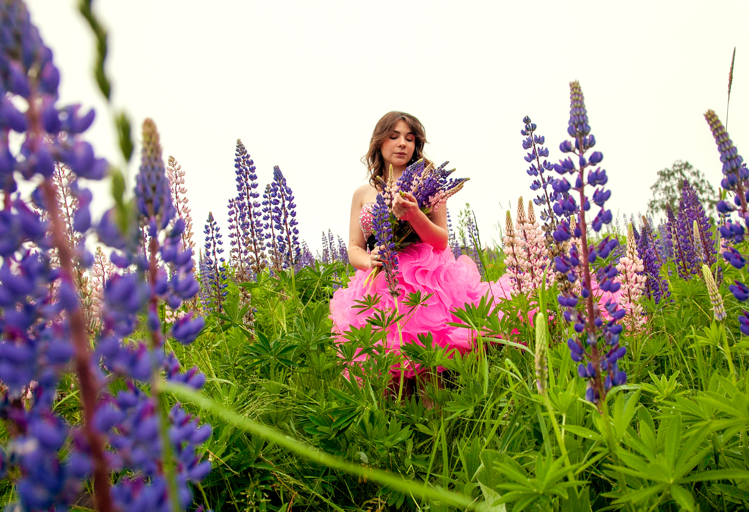 Люпины. Фотограф Татьяна Воронова, Детские и Семейные фото