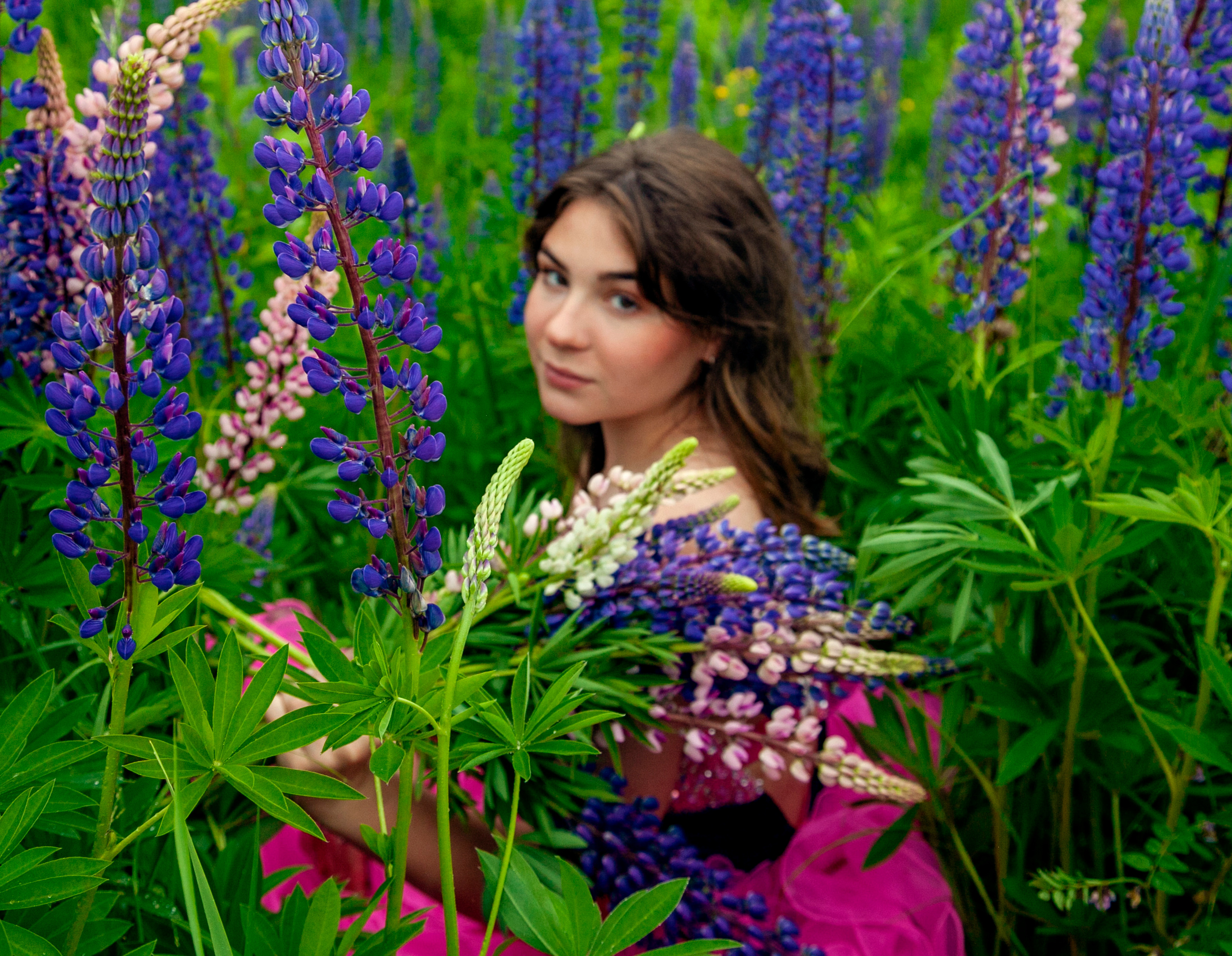 Люпины. Фотограф Татьяна Воронова, Детские и Семейные фото