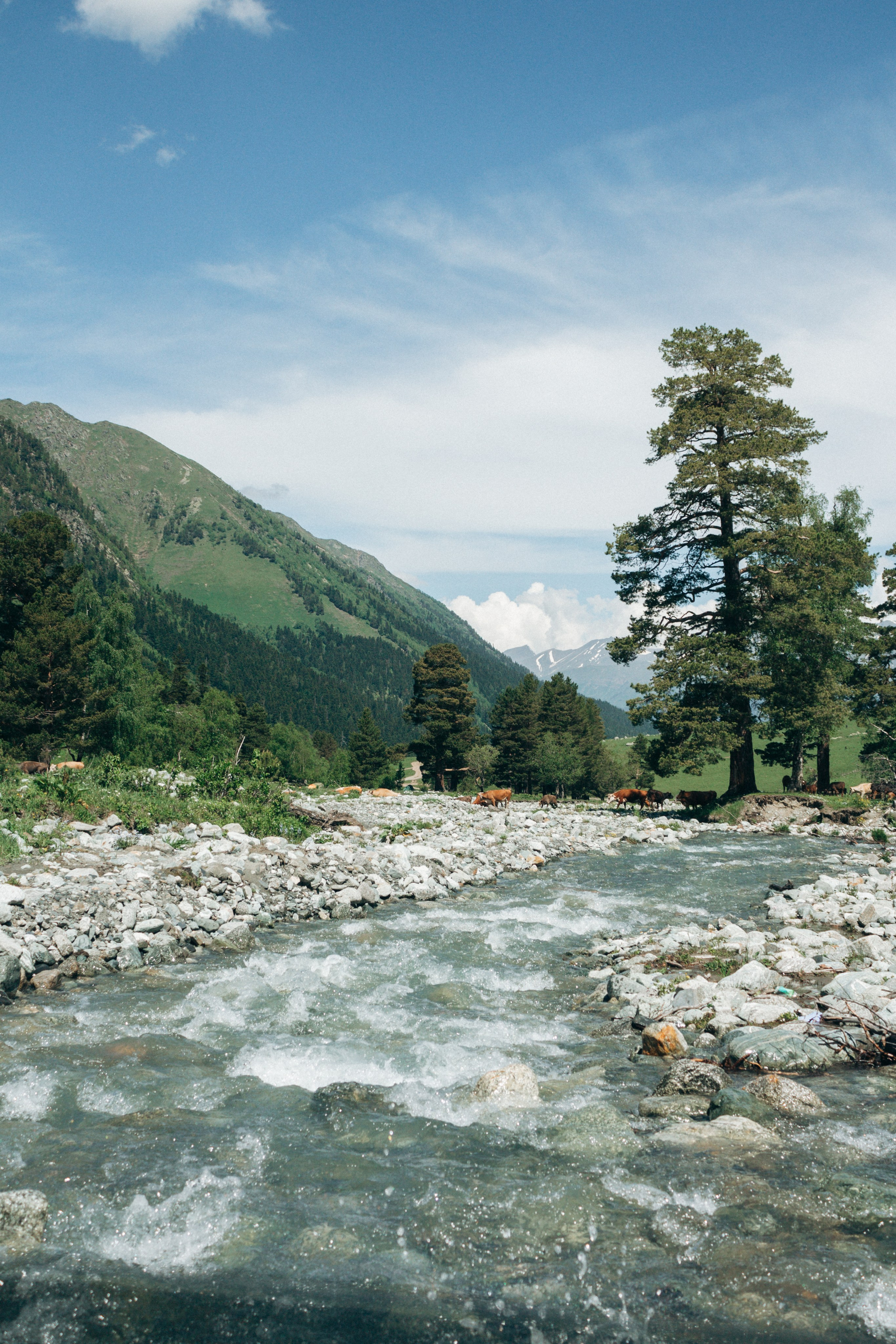 Фото сопровождение туров. Фотограф в Ростове-на-Дону и по всему миру Веникова Ольга