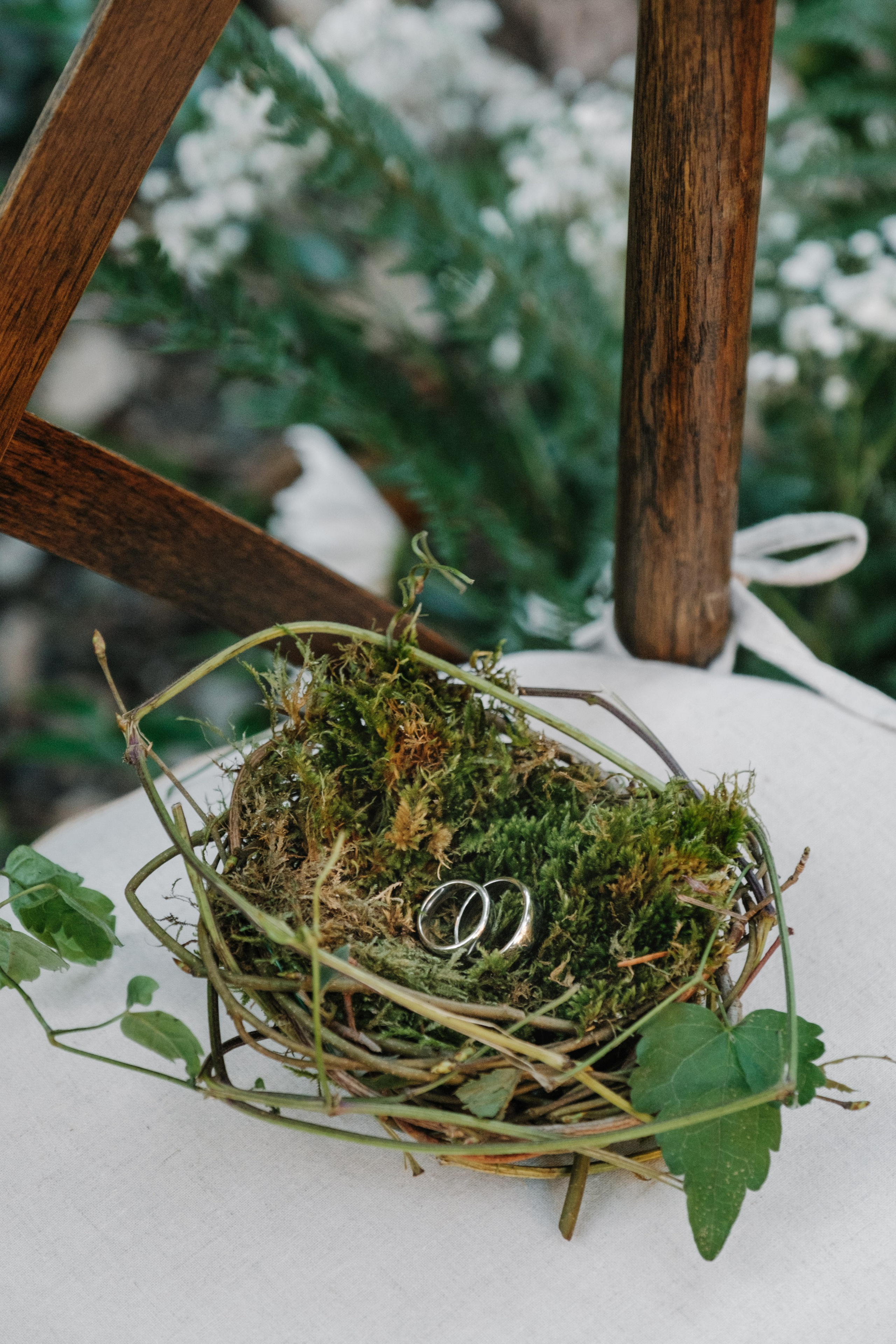 Кот и Дракон. Свадебный Видеограф Фотограф в Сочи