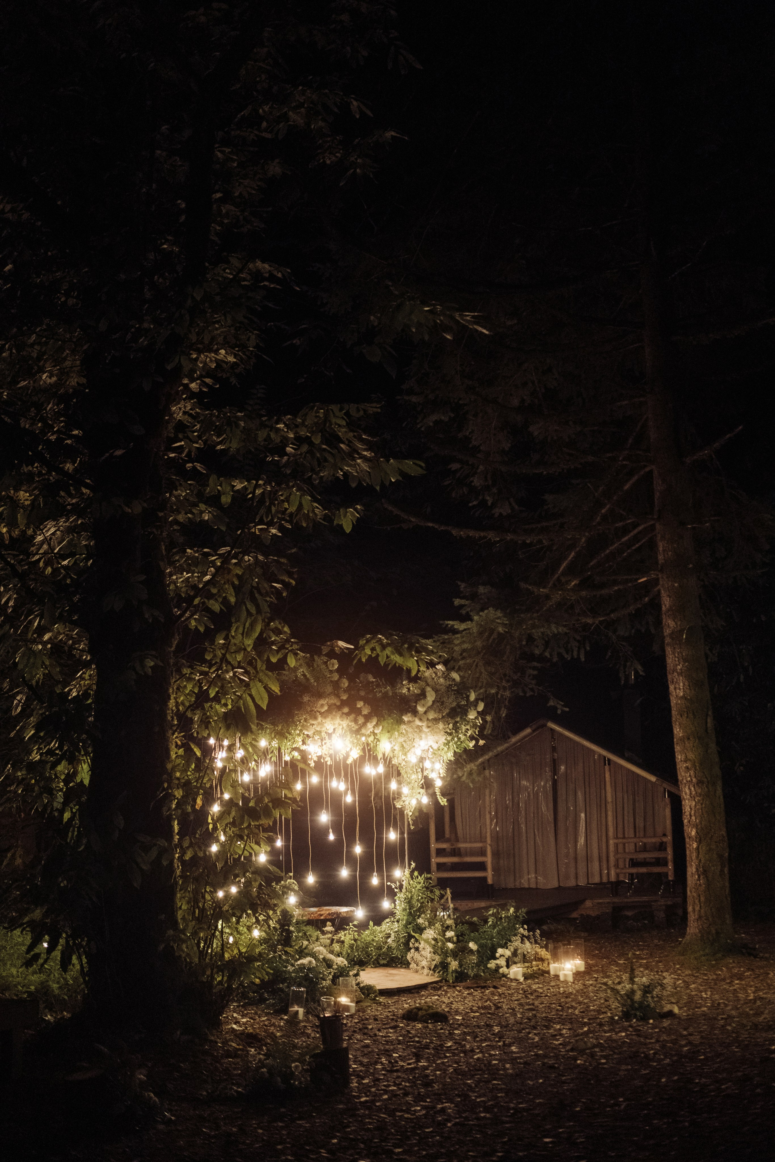 Кот и Дракон. Свадебный Видеограф Фотограф в Сочи