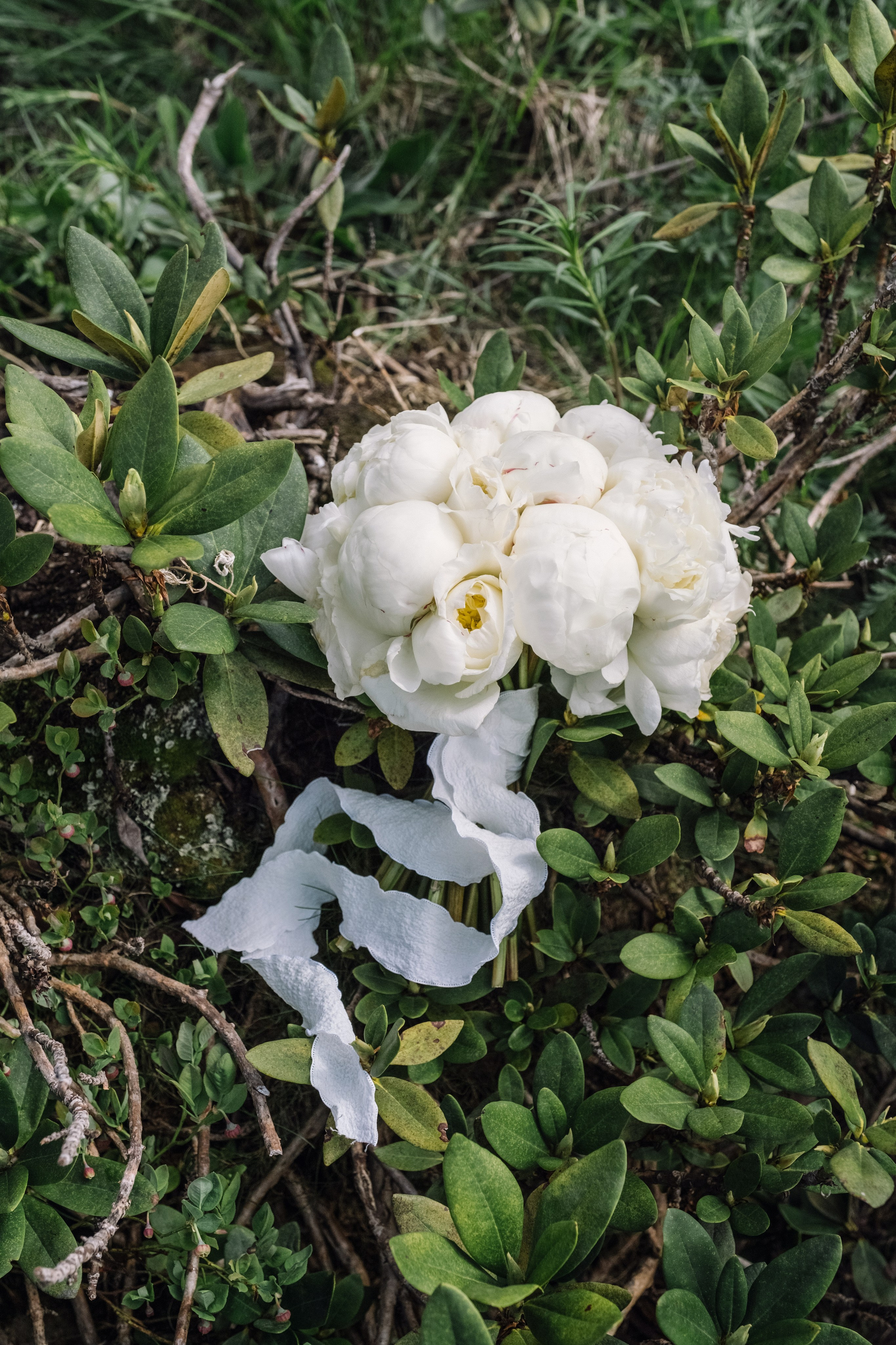 Елизавета / Кирилл. Свадебный Видеограф Фотограф в Сочи