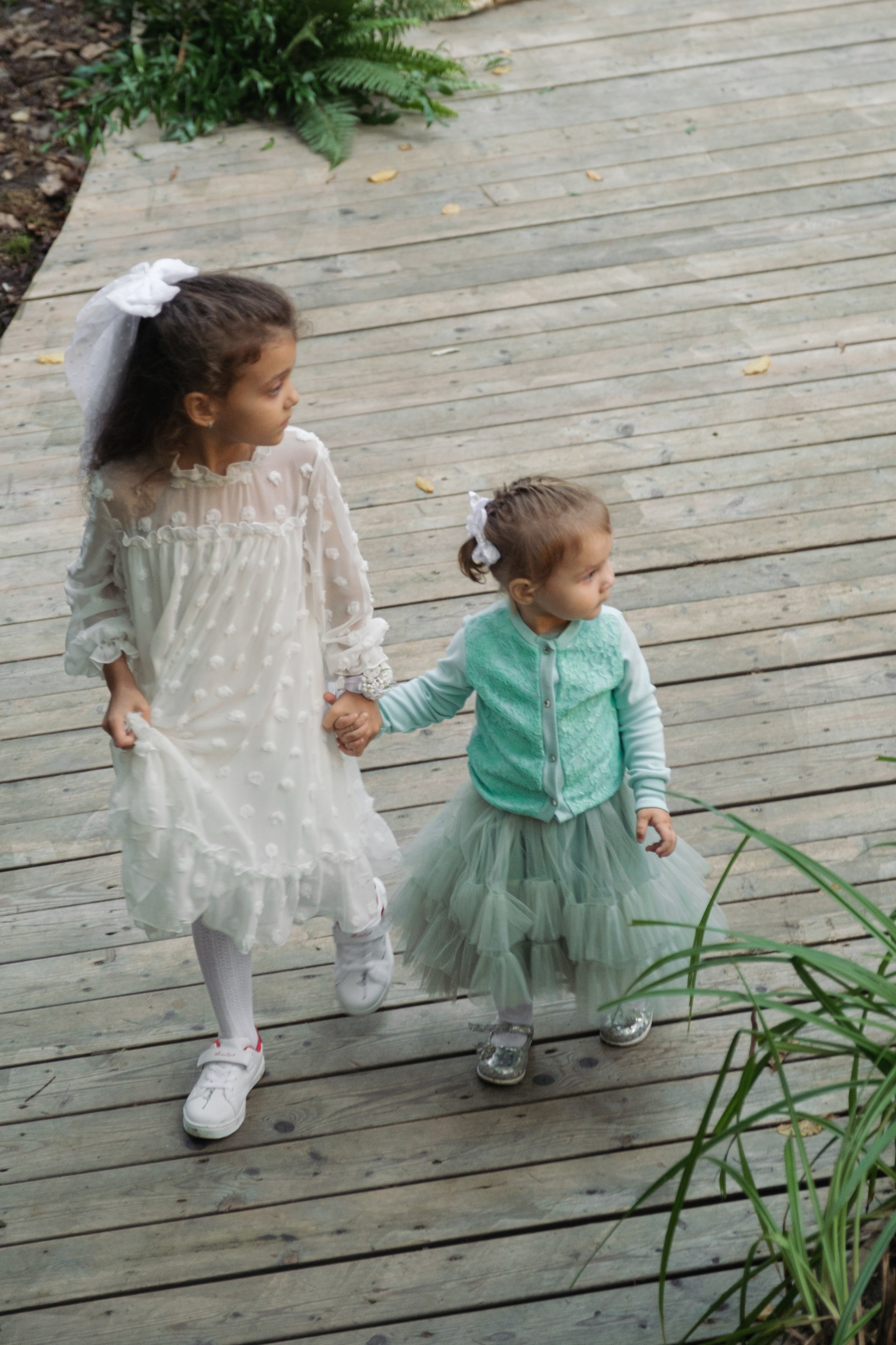 Кот и Дракон. Свадебный Видеограф Фотограф в Сочи