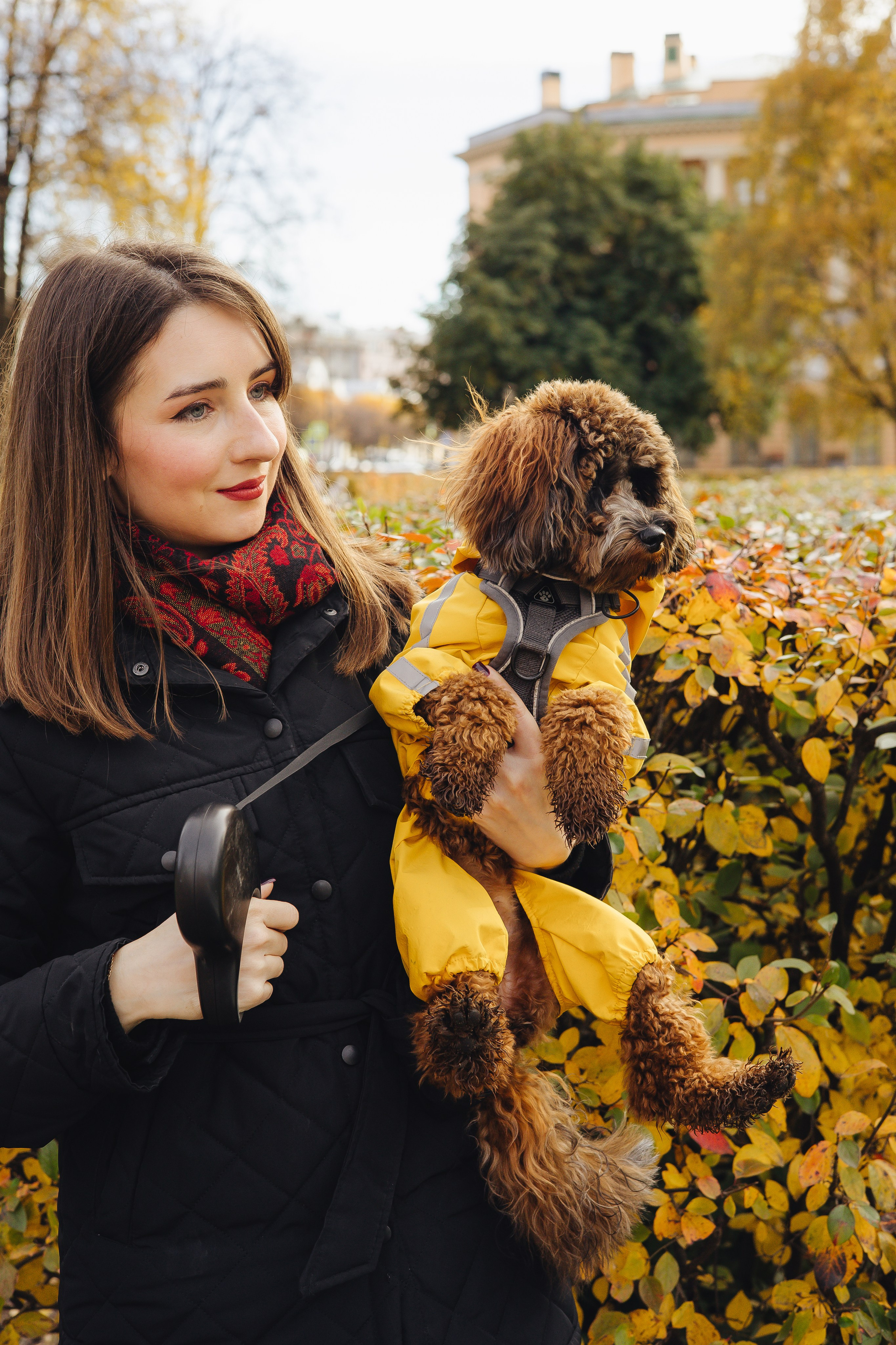 Летающая Мерси