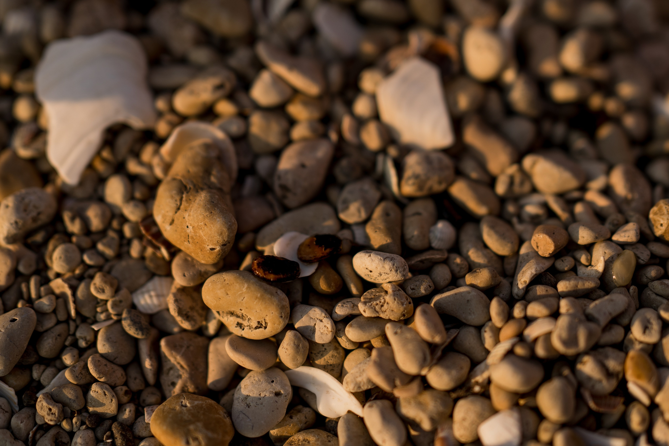 Смотри, медуза. Свадебный фотограф в Краснодаре и Сочи Винидиктова Екатерина