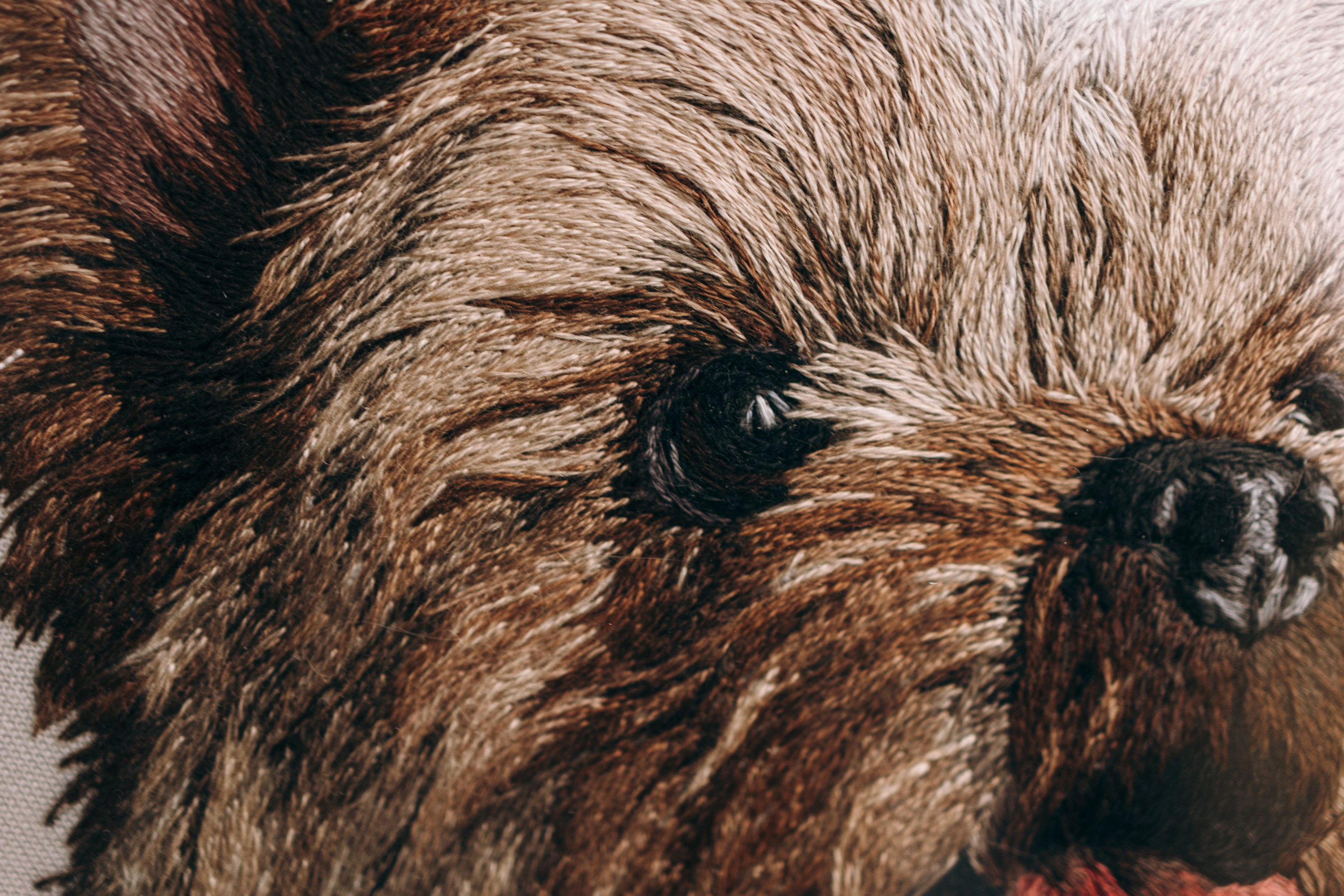 Портфолио. Портретная вышивка питомцев