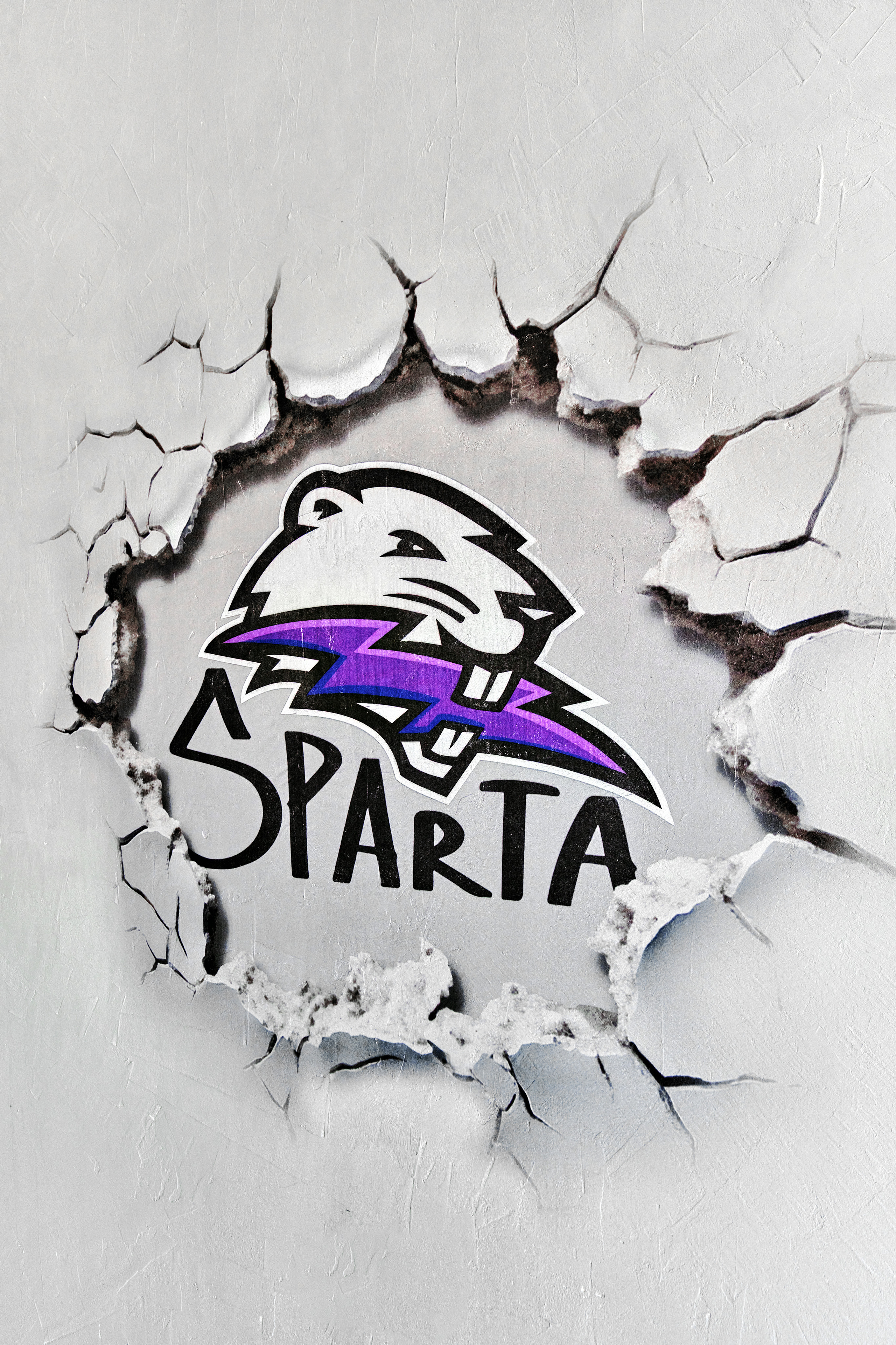 Portafolio de Murales y Arte en Paredes Graffitis | Murale. Murale: Arte Mural y Pintura Decorativa en España