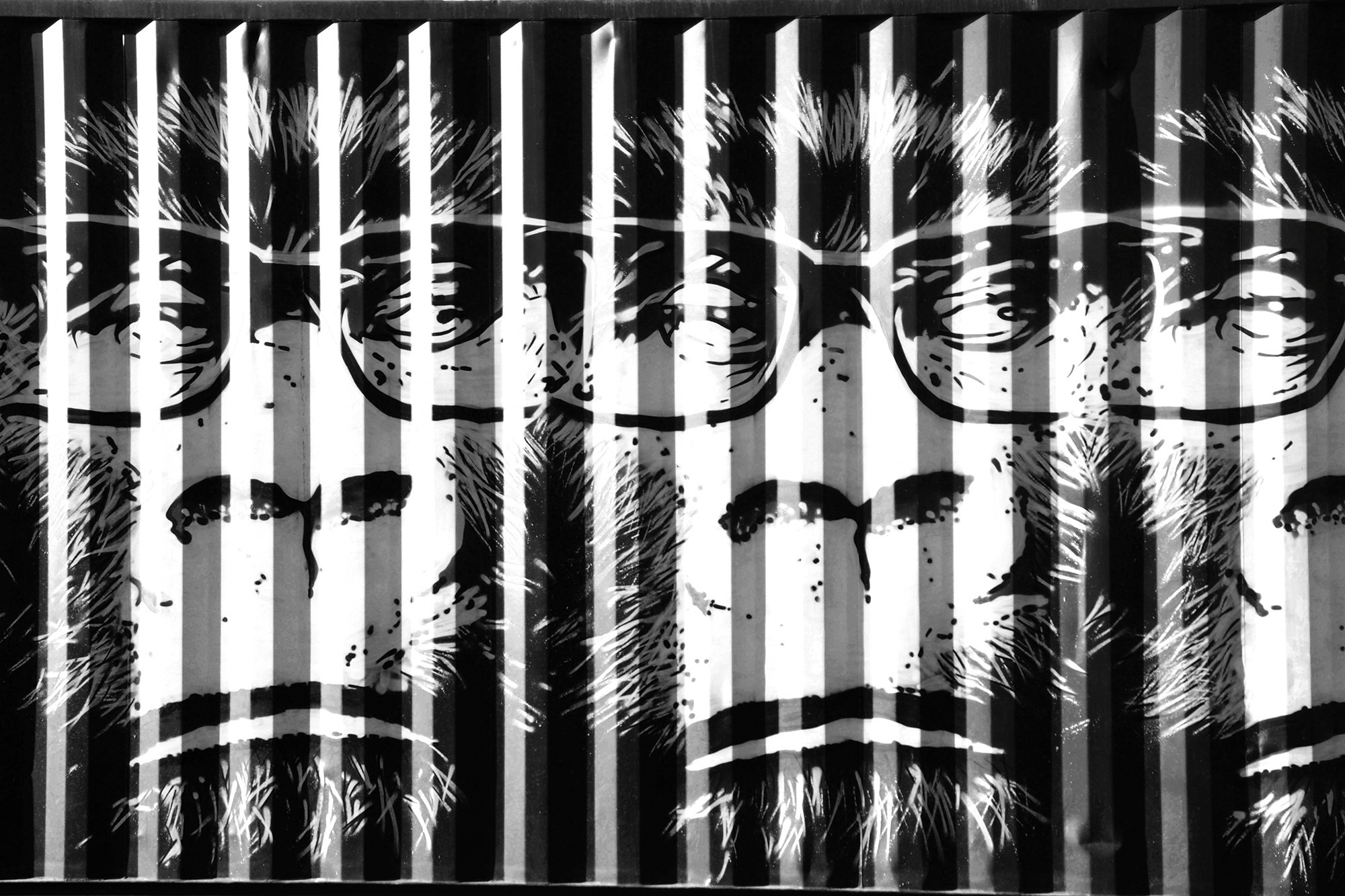 Консервация. Https://elenagovorenkova, документальная, репортажная и арт фотография