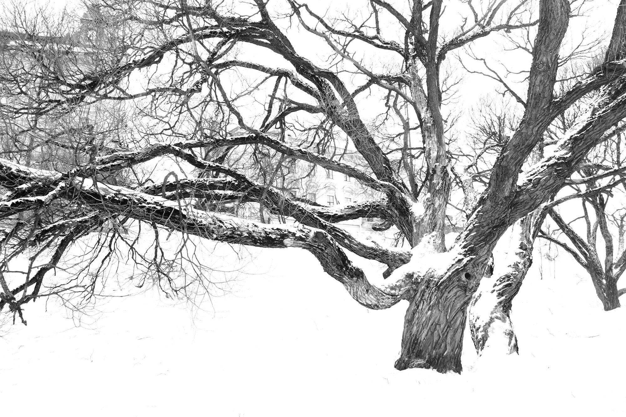 Консервация. Https://elenagovorenkova, документальная, репортажная и арт фотография