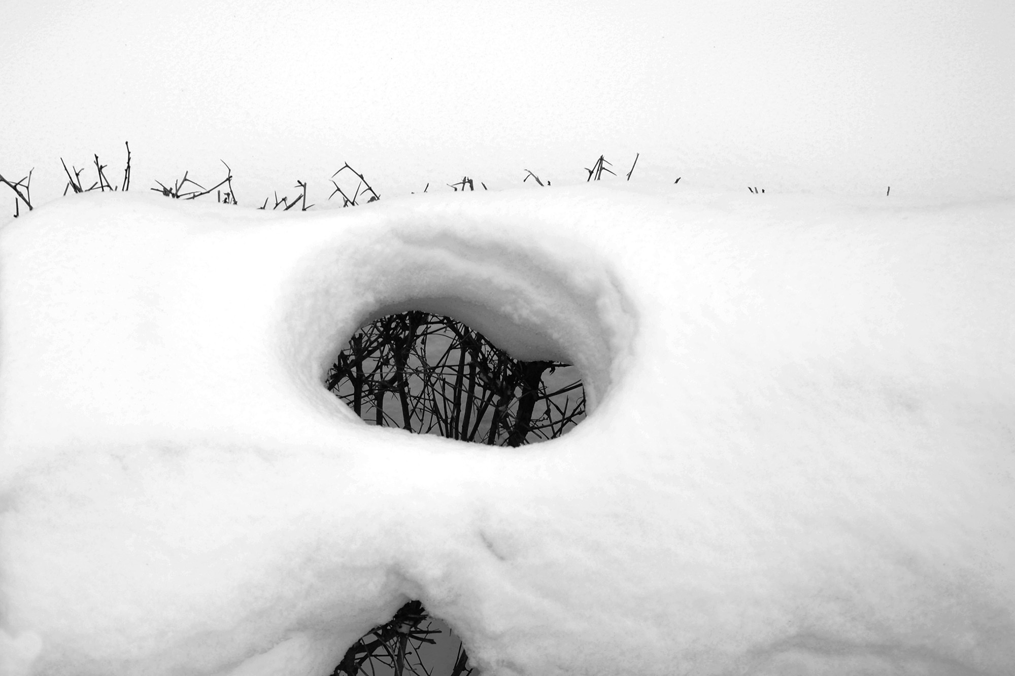 Консервация. Https://elenagovorenkova, документальная, репортажная и арт фотография