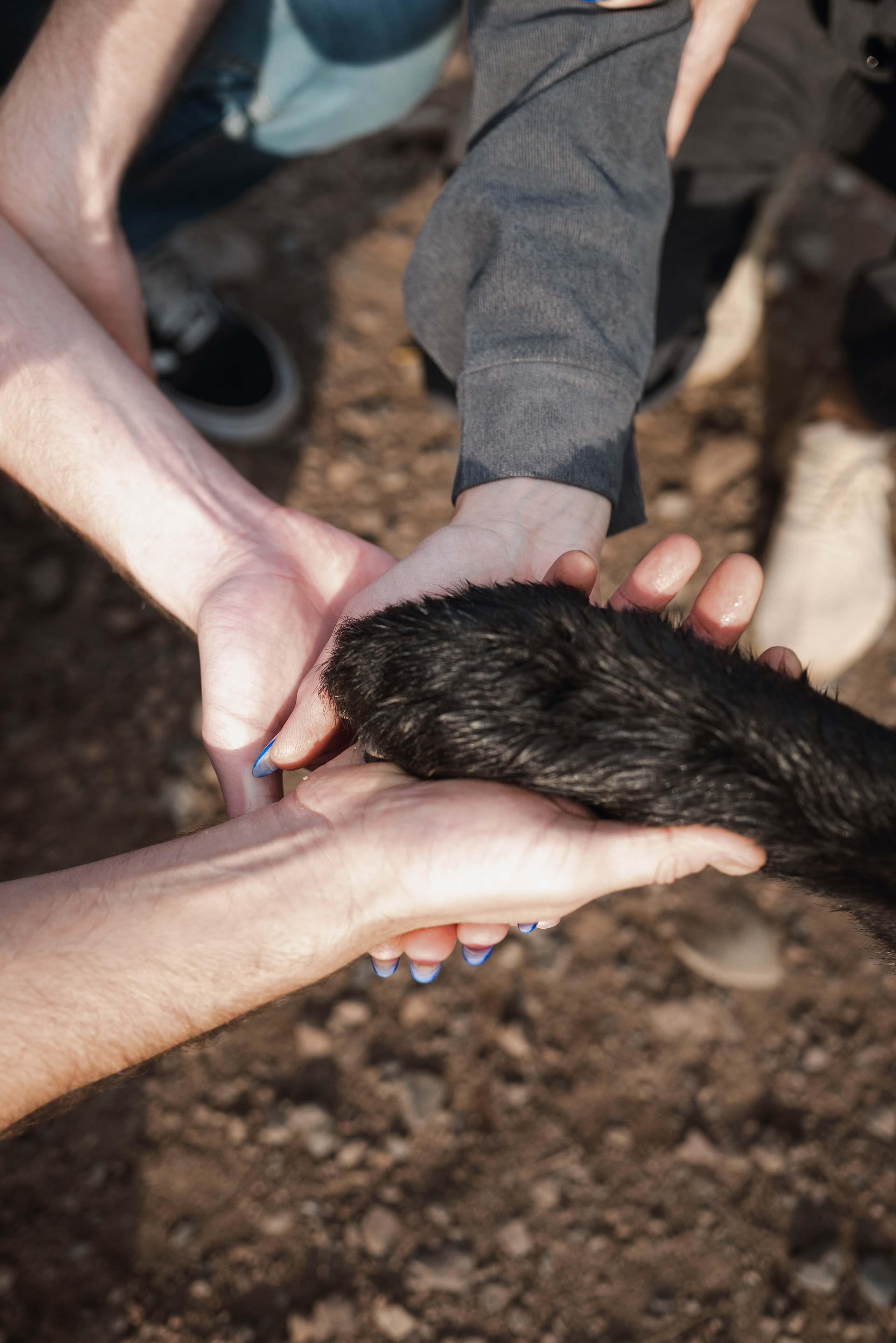 Отзывы. Фотограф в Красноярске / Дивногорске. Файзулина Анастасия