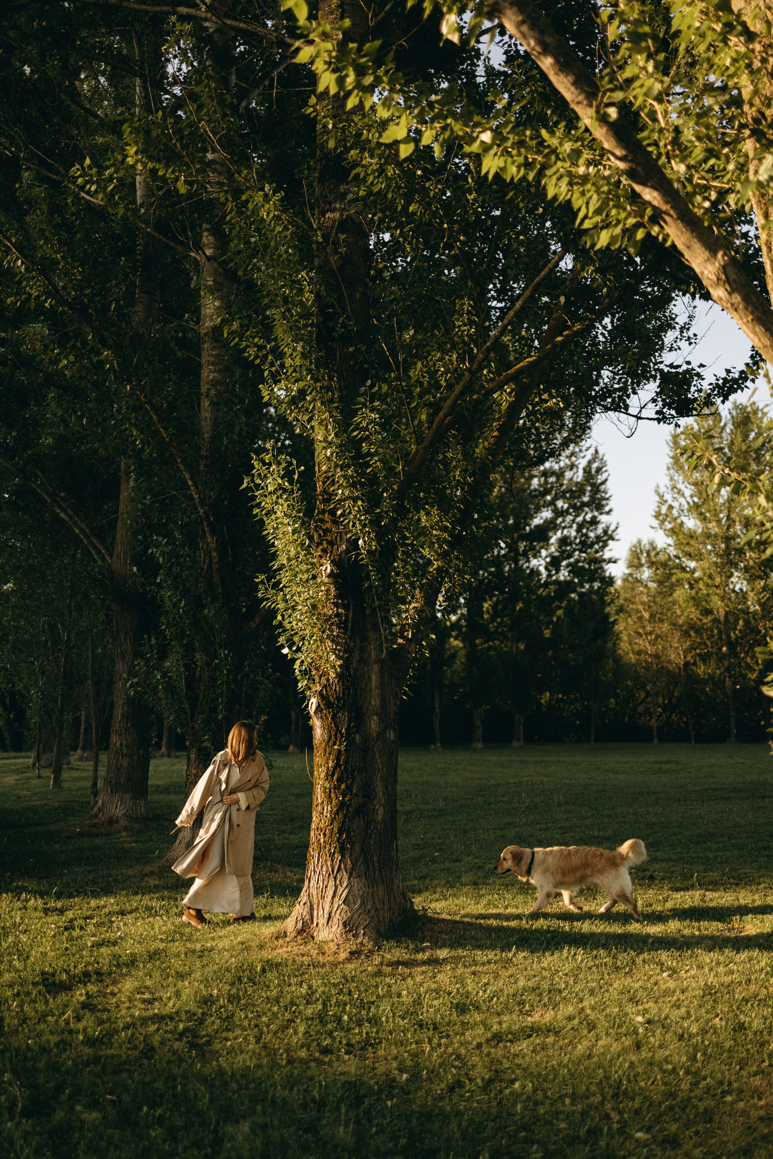 Пенни и ребята. Фотограф — Анималист | Санкт-Петербург