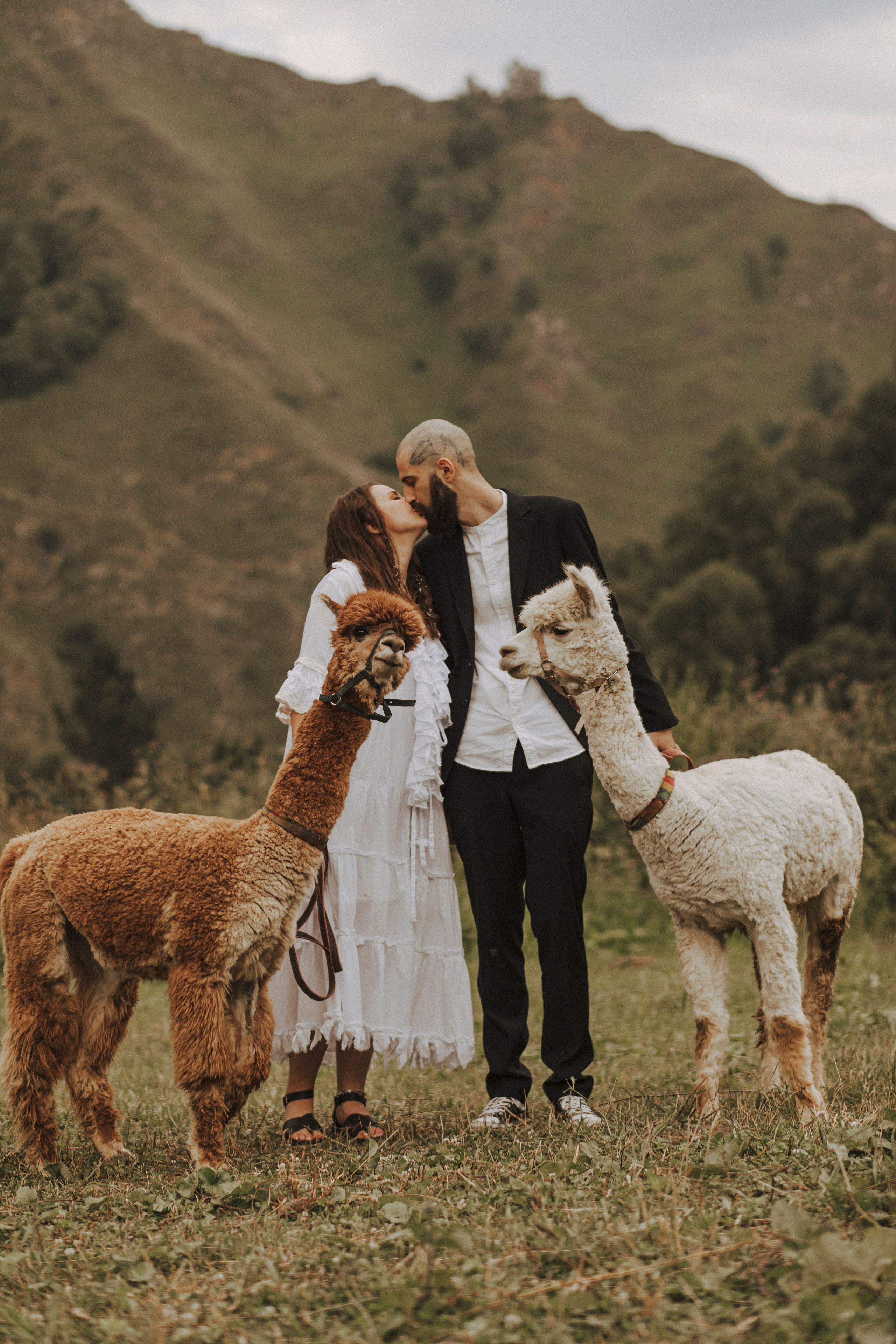 TIGRAN & VICTORIA | KISLOVODSK. Фотограф Настя Конник | Пятигорск | Эльбрус | Домбай | Архыз