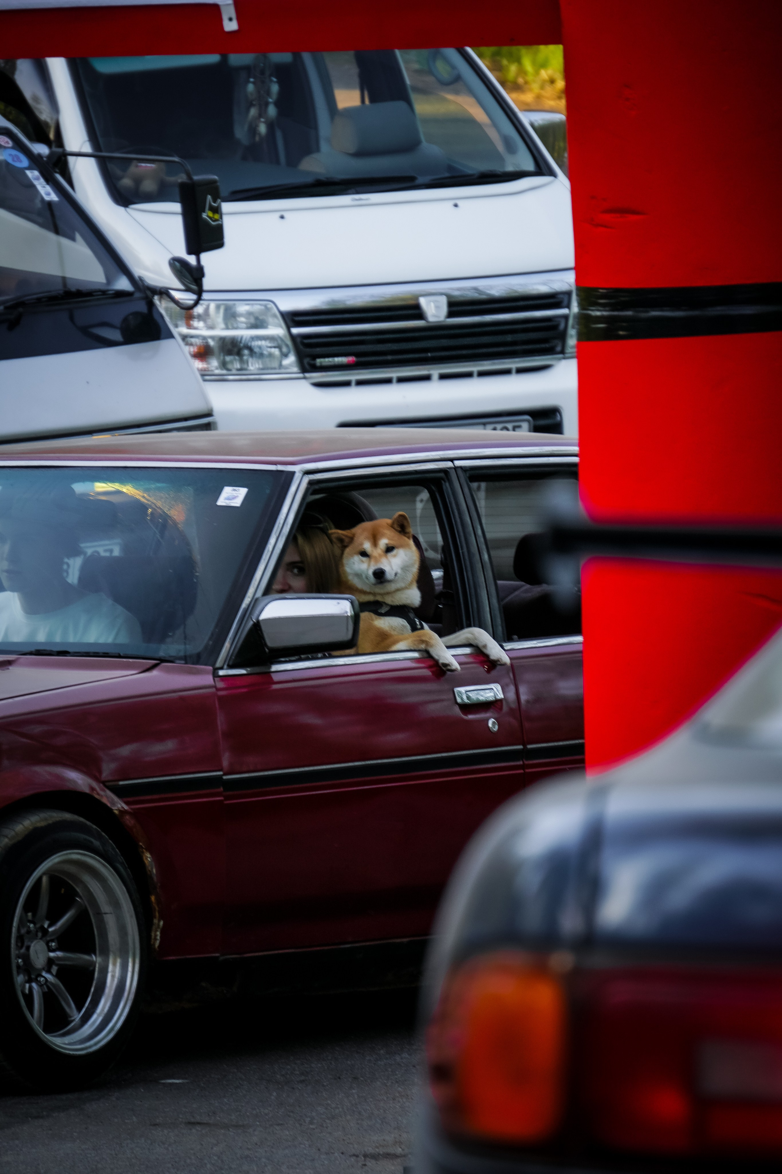 Портфолио Гончаренко Павел. Ма, я фотю📸