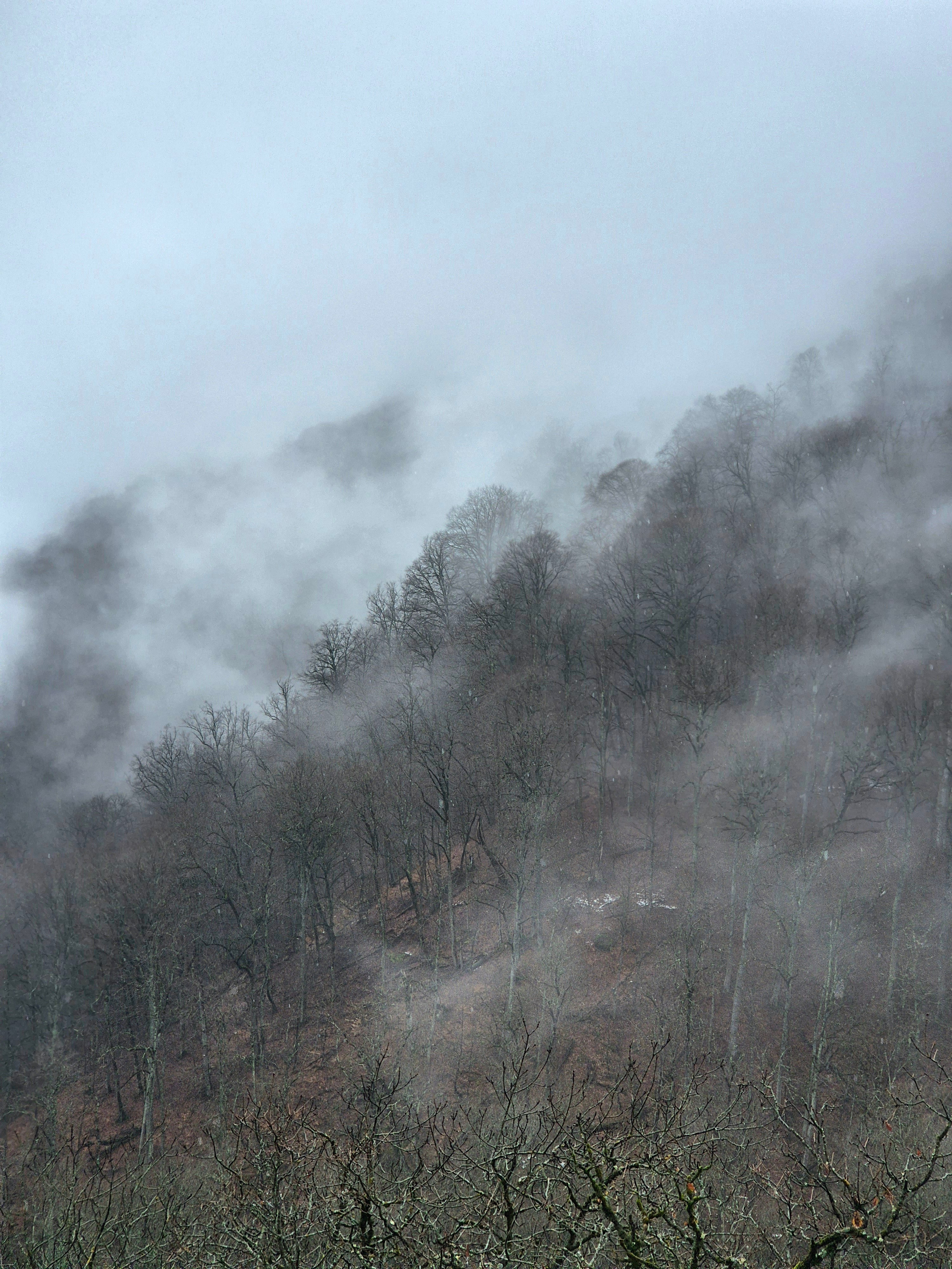 Но и пройти далеко не удалось - местами лежит снег, местами - огромные лужи