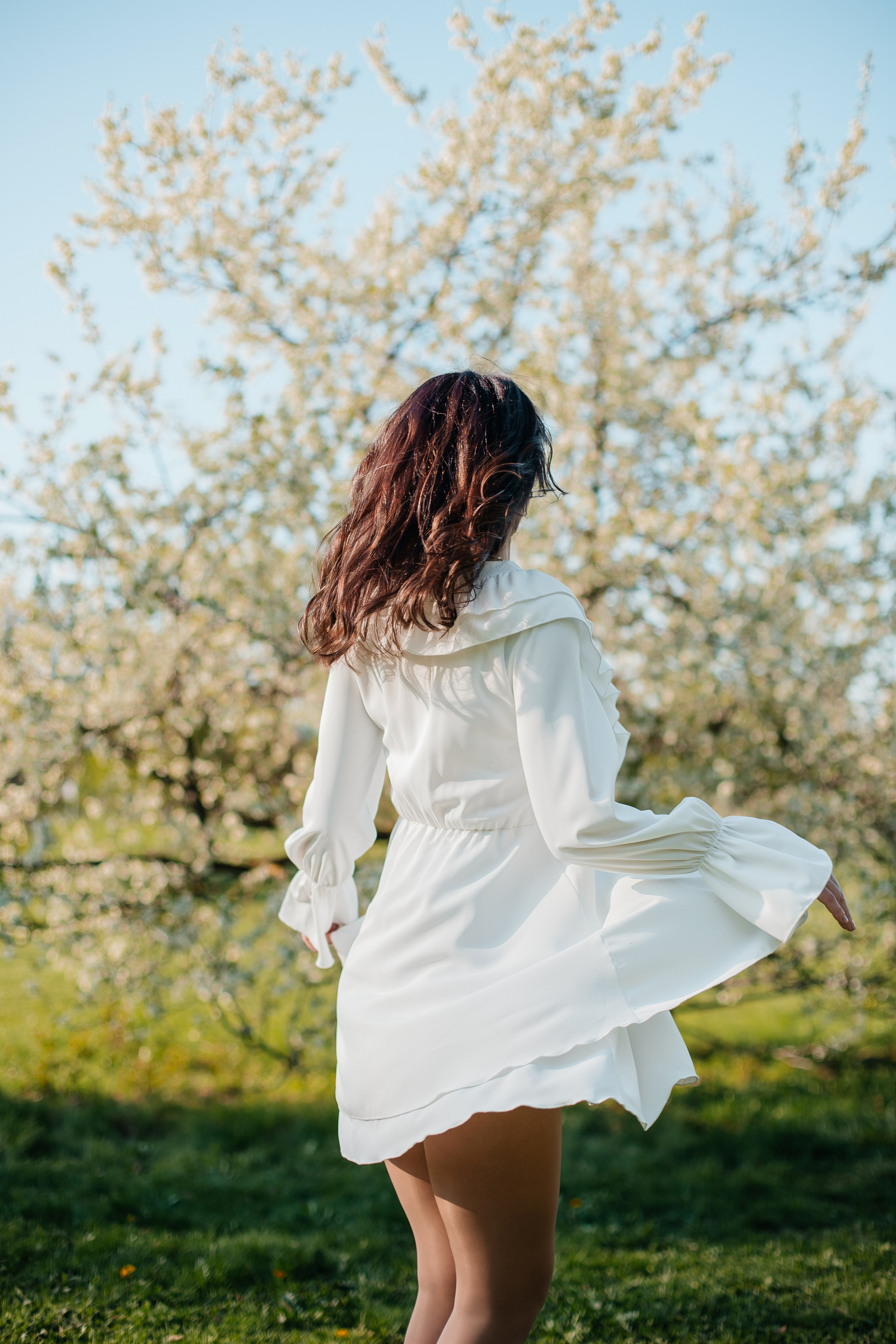 Вишня. Анастасия Давыдова