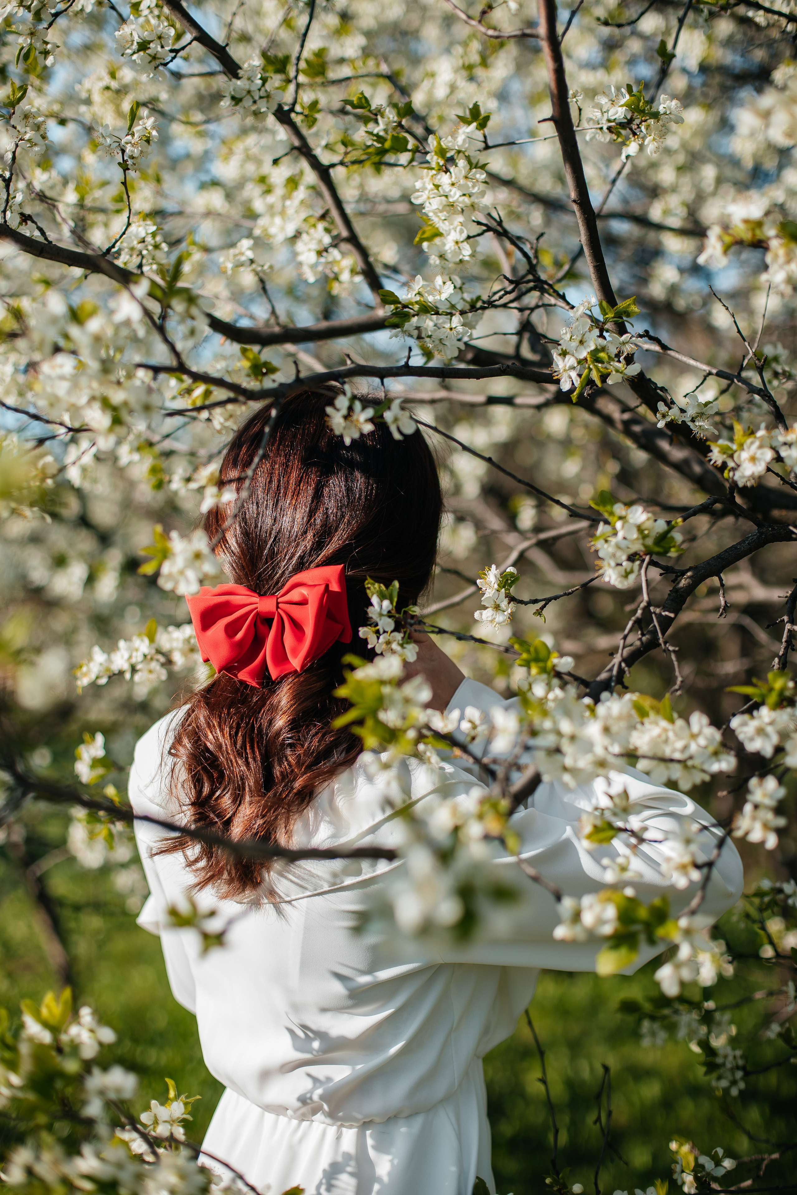 Вишня. Анастасия Давыдова