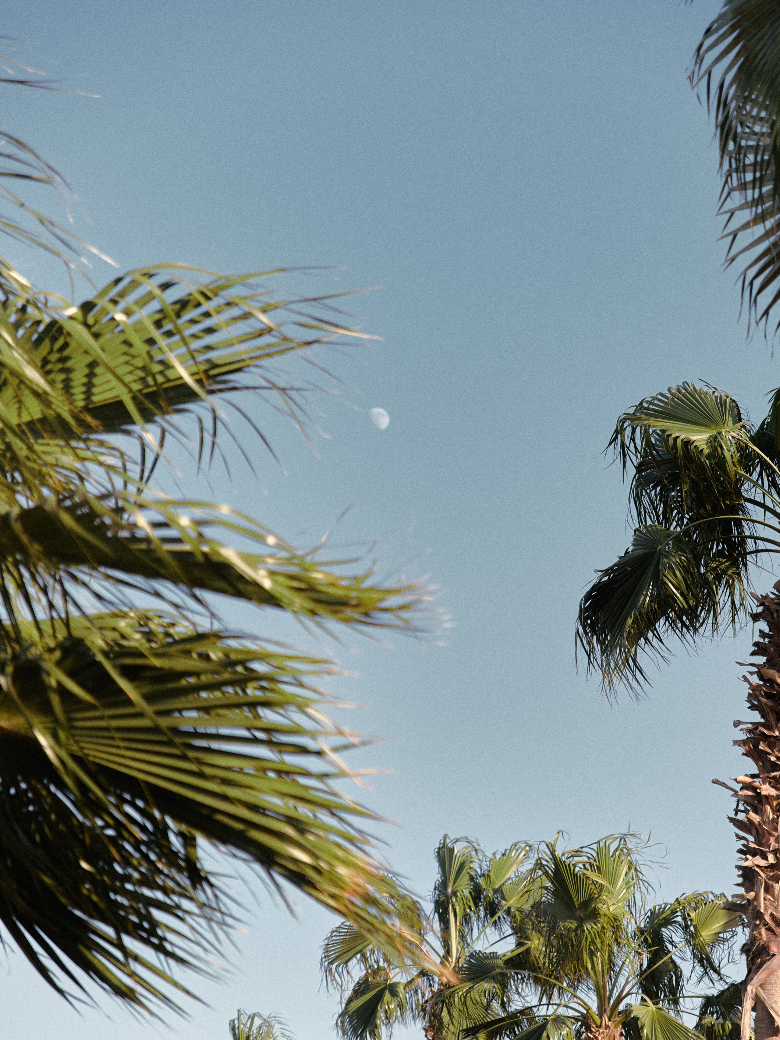 Диптих. Jorgis — фотограф в Хургаде / обучение фотографии