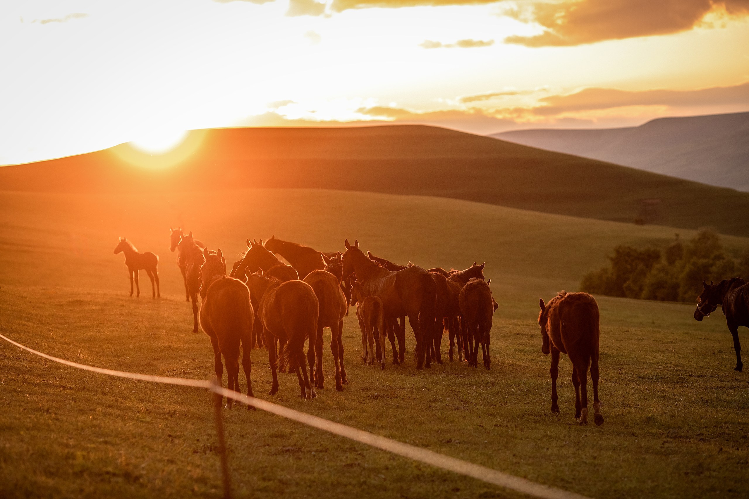 Майское закатное. BrisArts