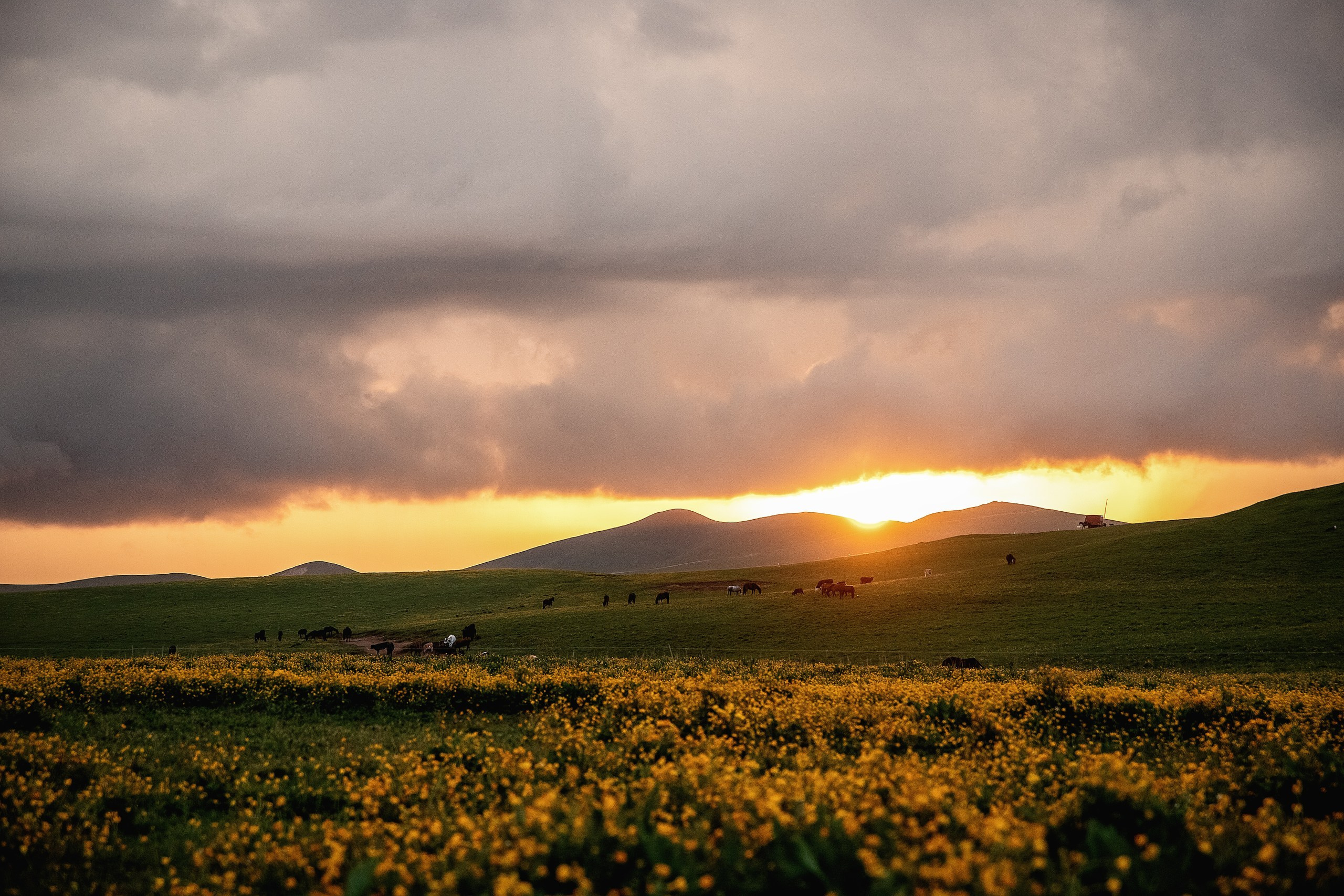 Плато Бийчесын. BrisArts