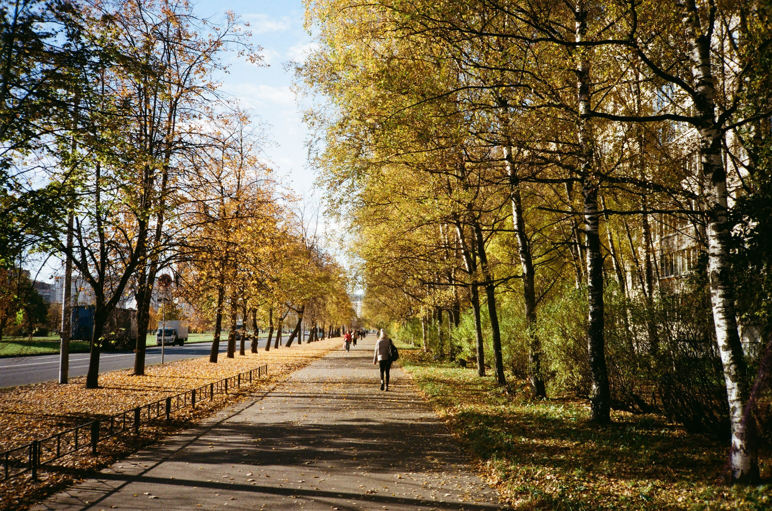 Please, Don't Leave. Pavlov Arts