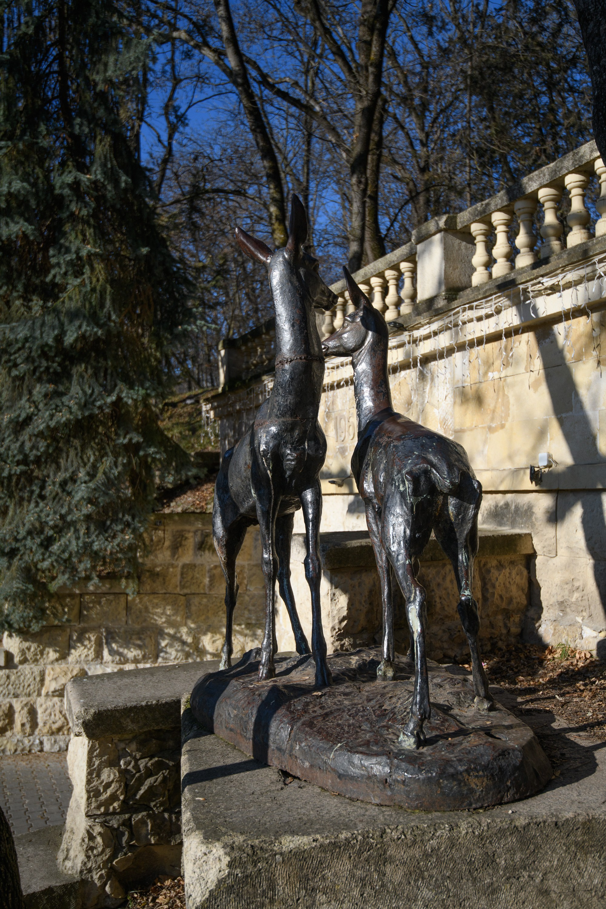 Ессентуки. Профессиональная фотосъемка. Ростов-на-Дону