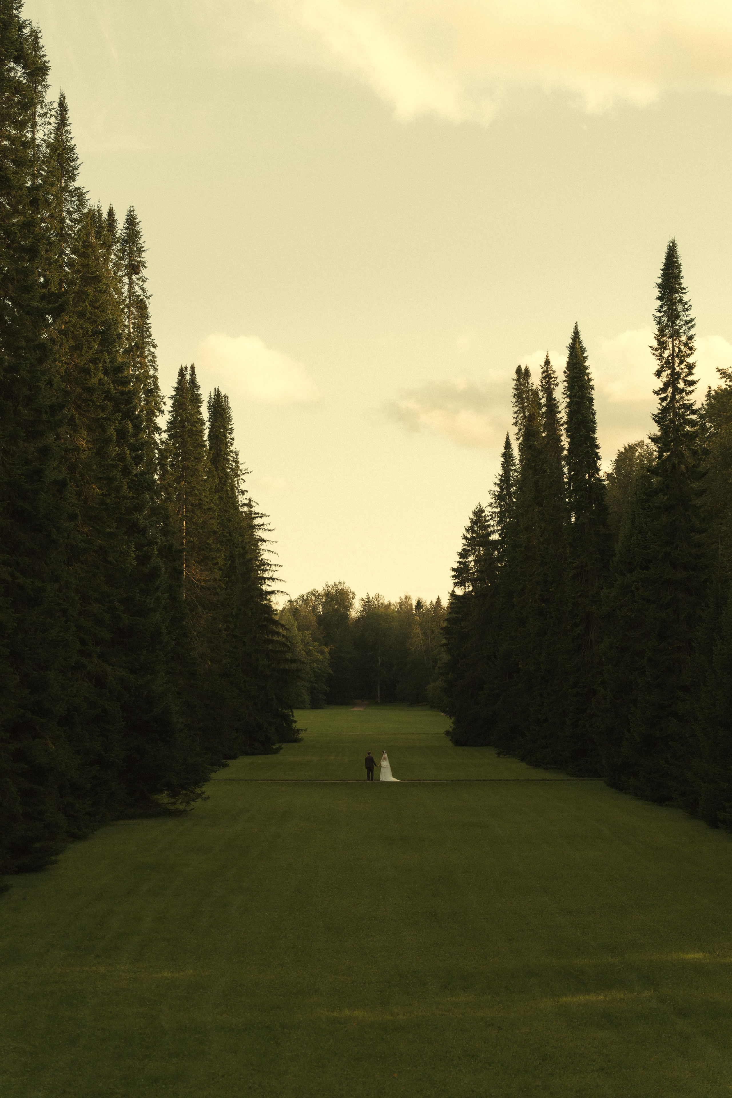 Свадебный фотограф Санкт-Петербург СПб Дарья Калимуллина