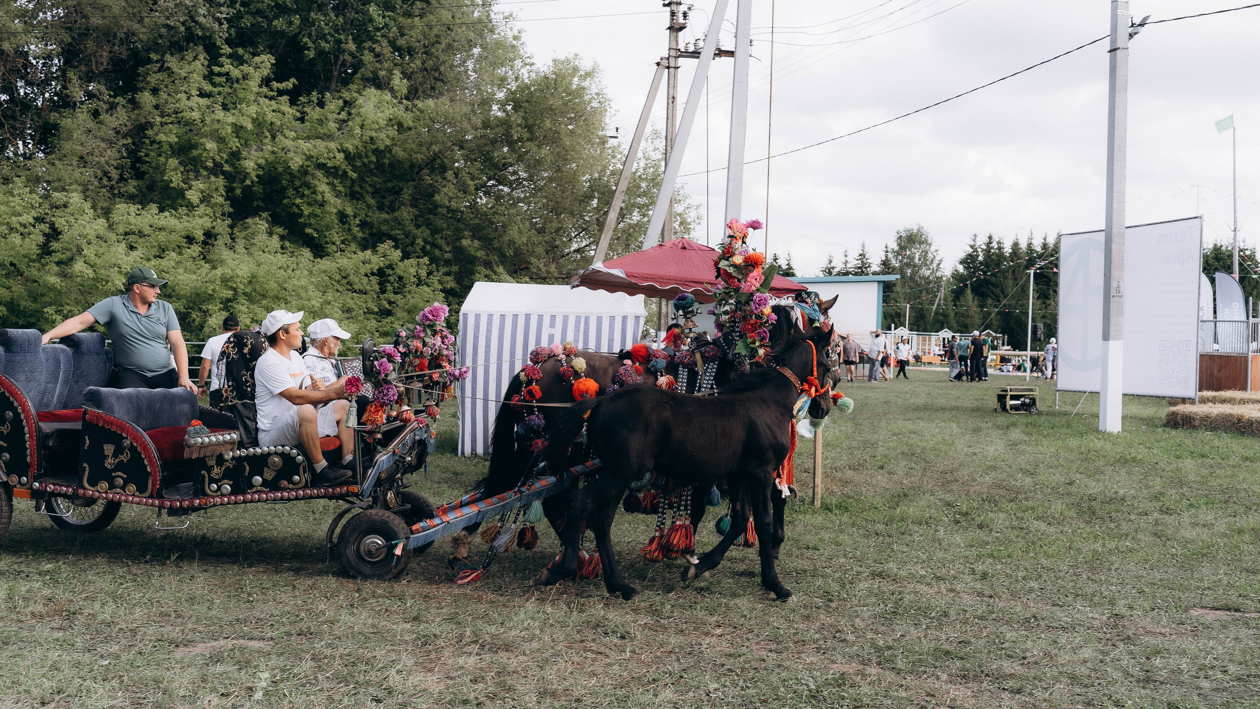 День Коня. Алиса Никитцова | Фотограф в Казани