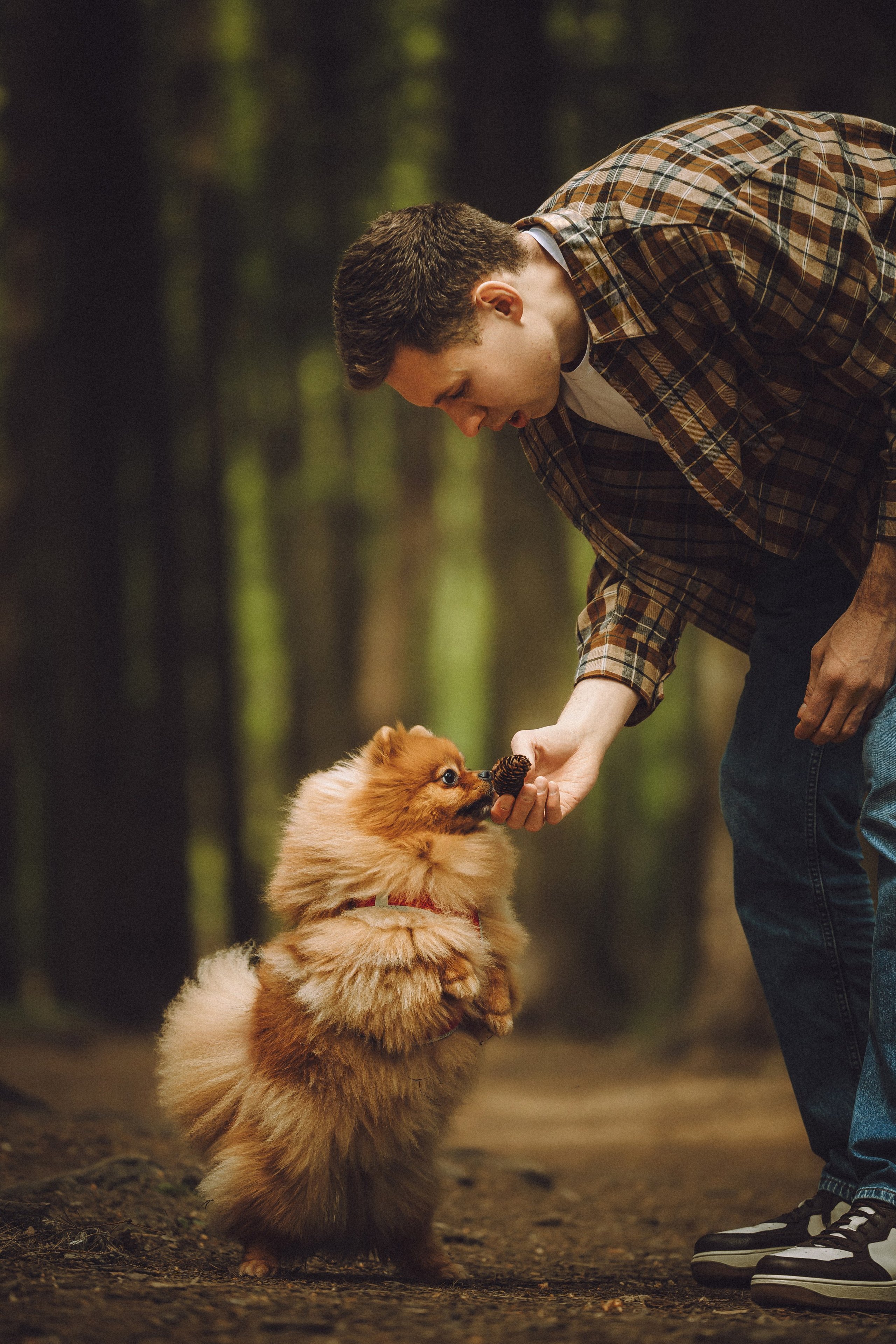 Лорик и его семья
