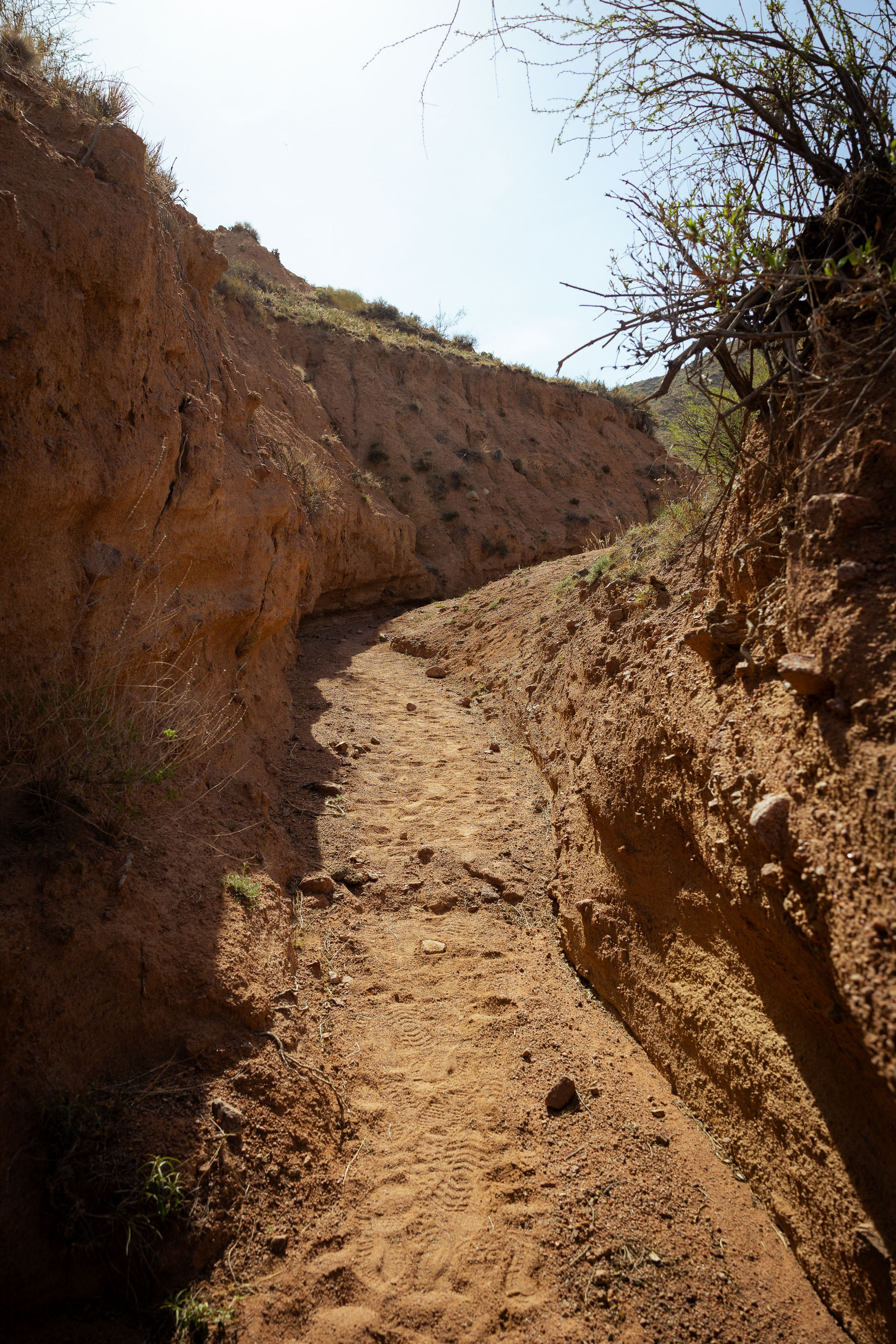 Кыргызстан (весна 2025). Фотограф Виноградов Константин
