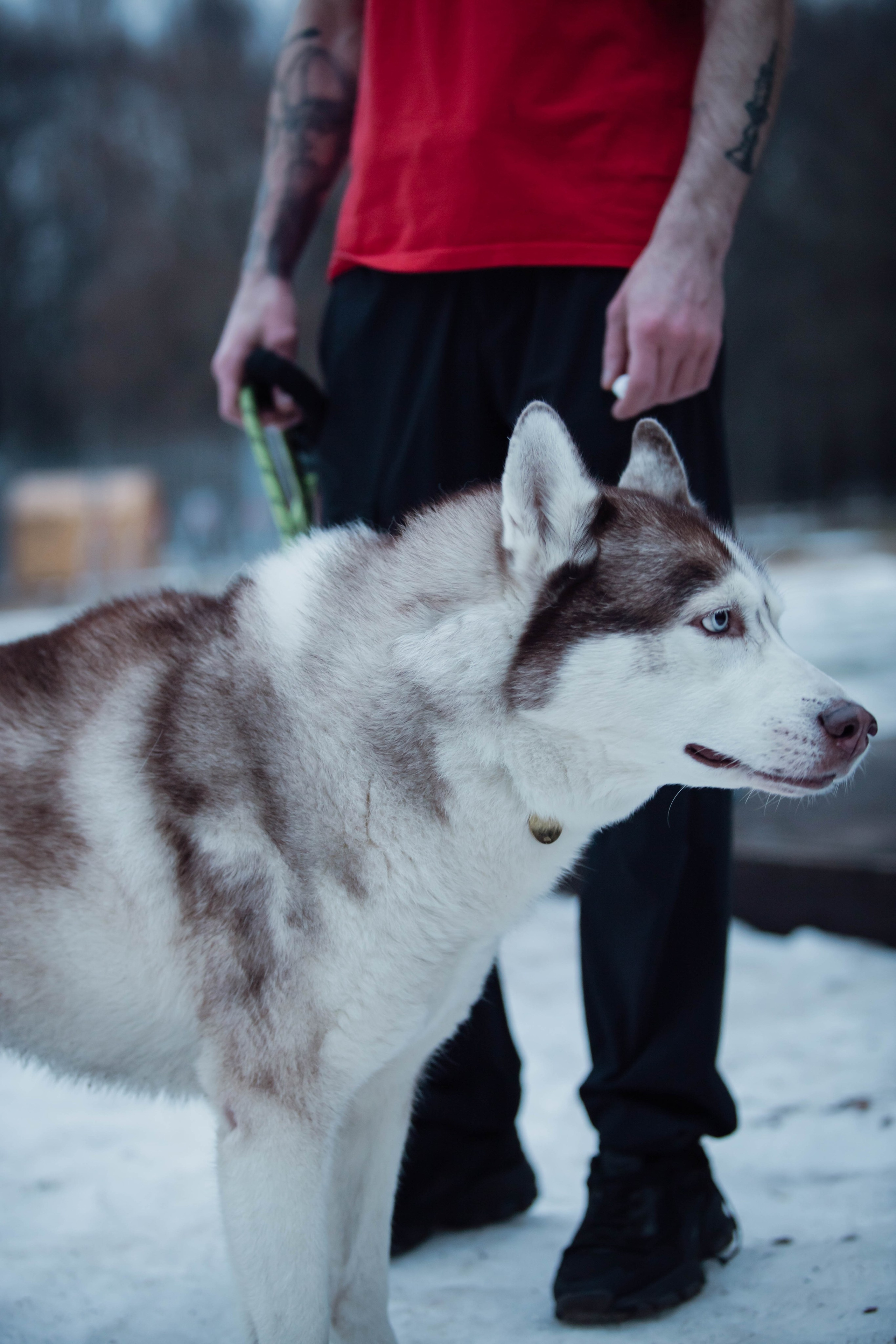 5 верст/декабрь. Александра Мельниченко/ Бегающий фотограф