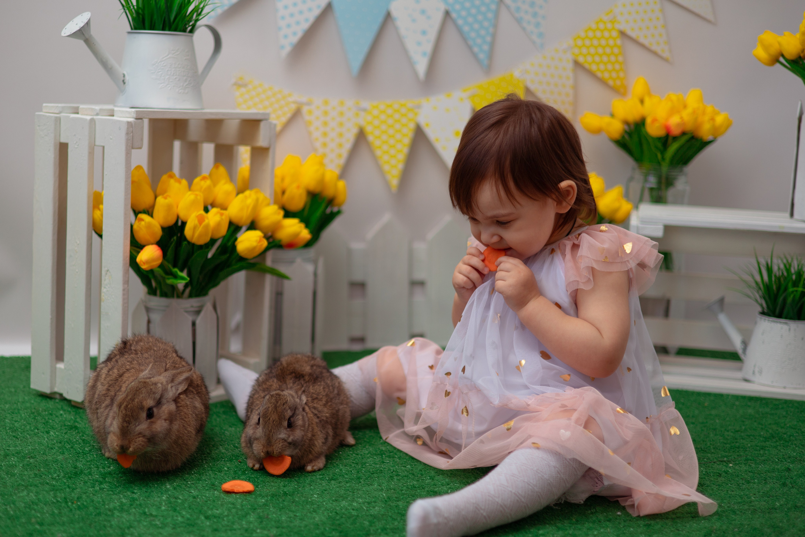 Мирослава кролики. Семейный и детский фотограф в Михайловке Татьяна Лестьева