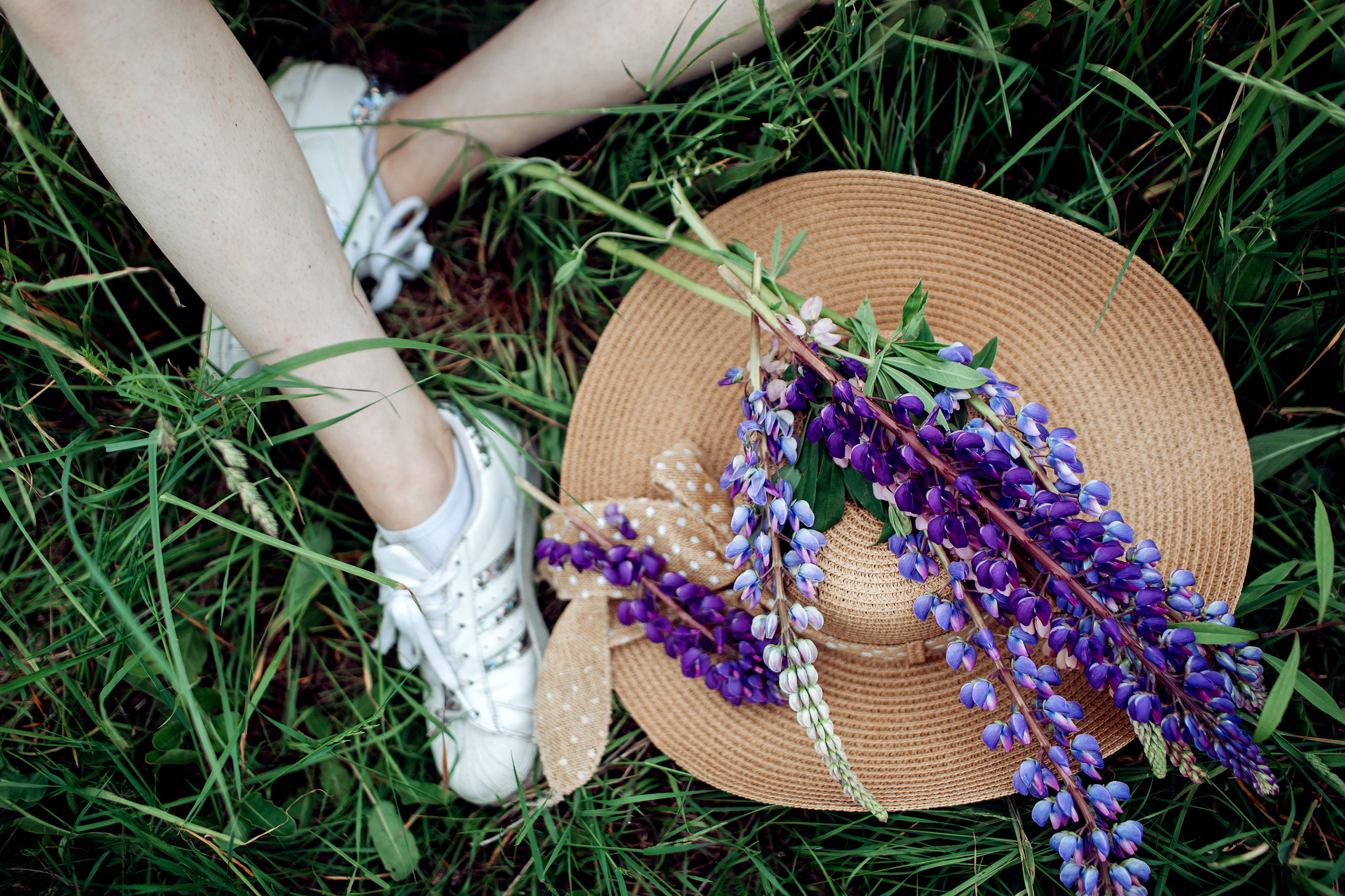 Фотосессия в люпинах. Анна. Свадебный и семейный фотограф в Твери, Москве, Санкт-Петербурге