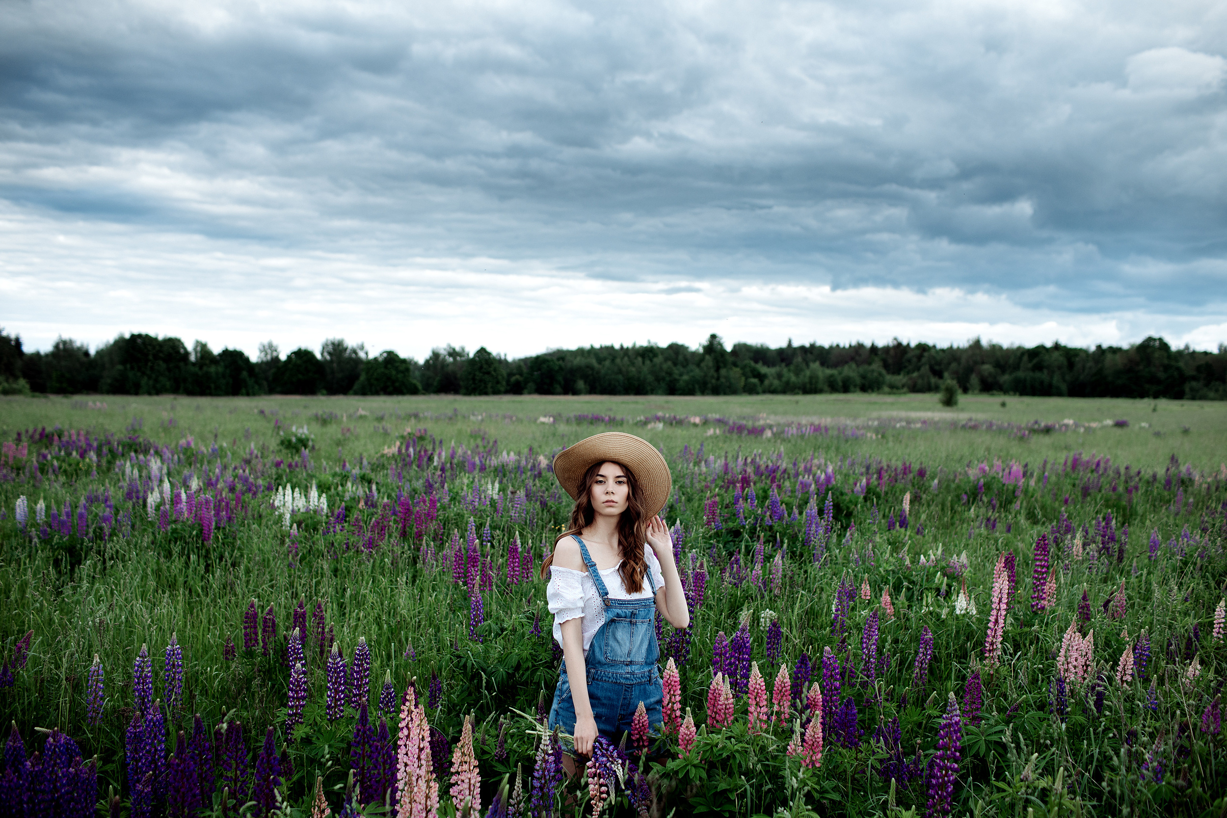 Фотосессия в люпинах. Анна. Свадебный и семейный фотограф в Твери, Москве, Санкт-Петербурге