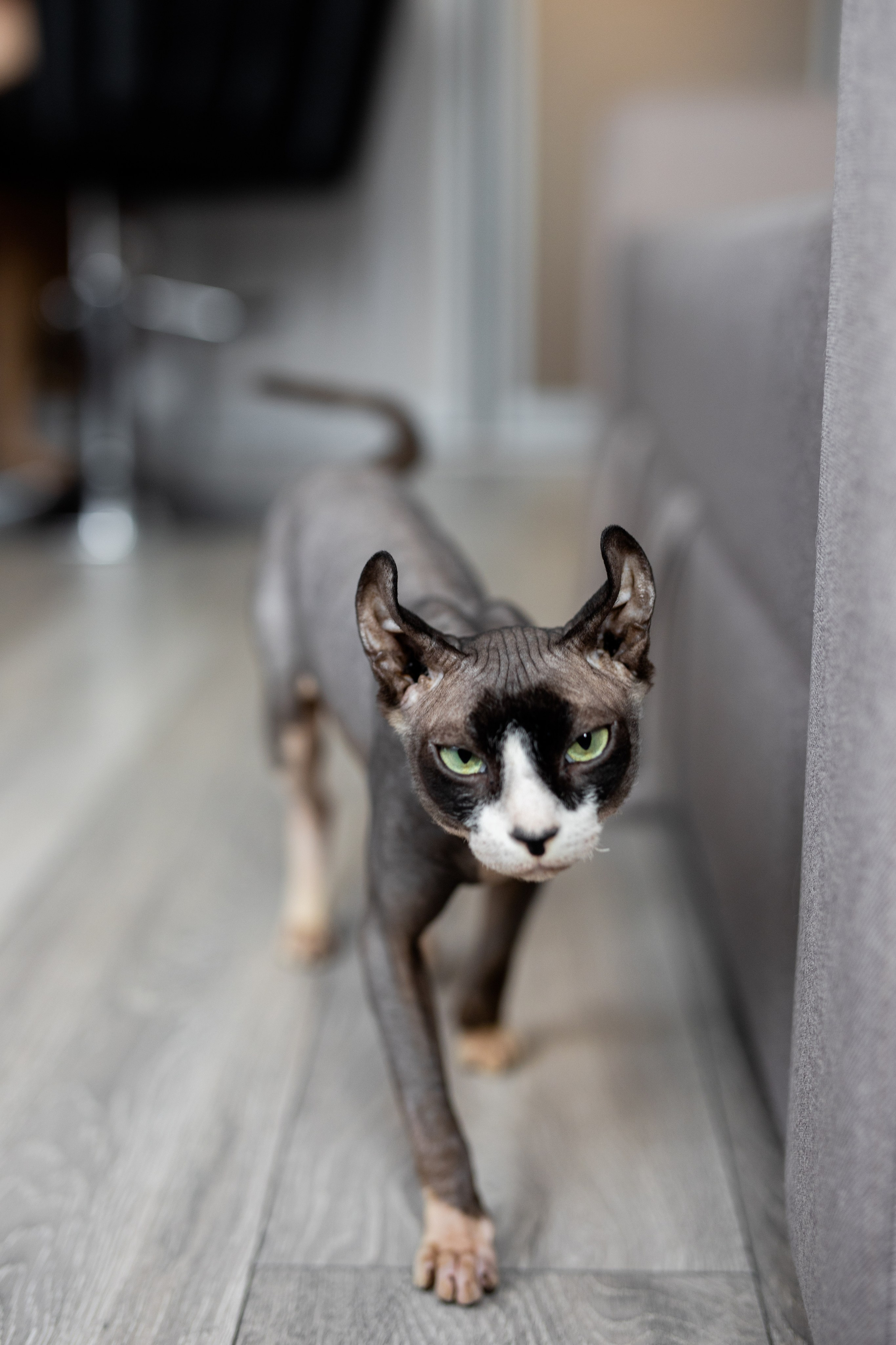 Ангелина и Александр. Свадебный фотограф Екатерина Герк